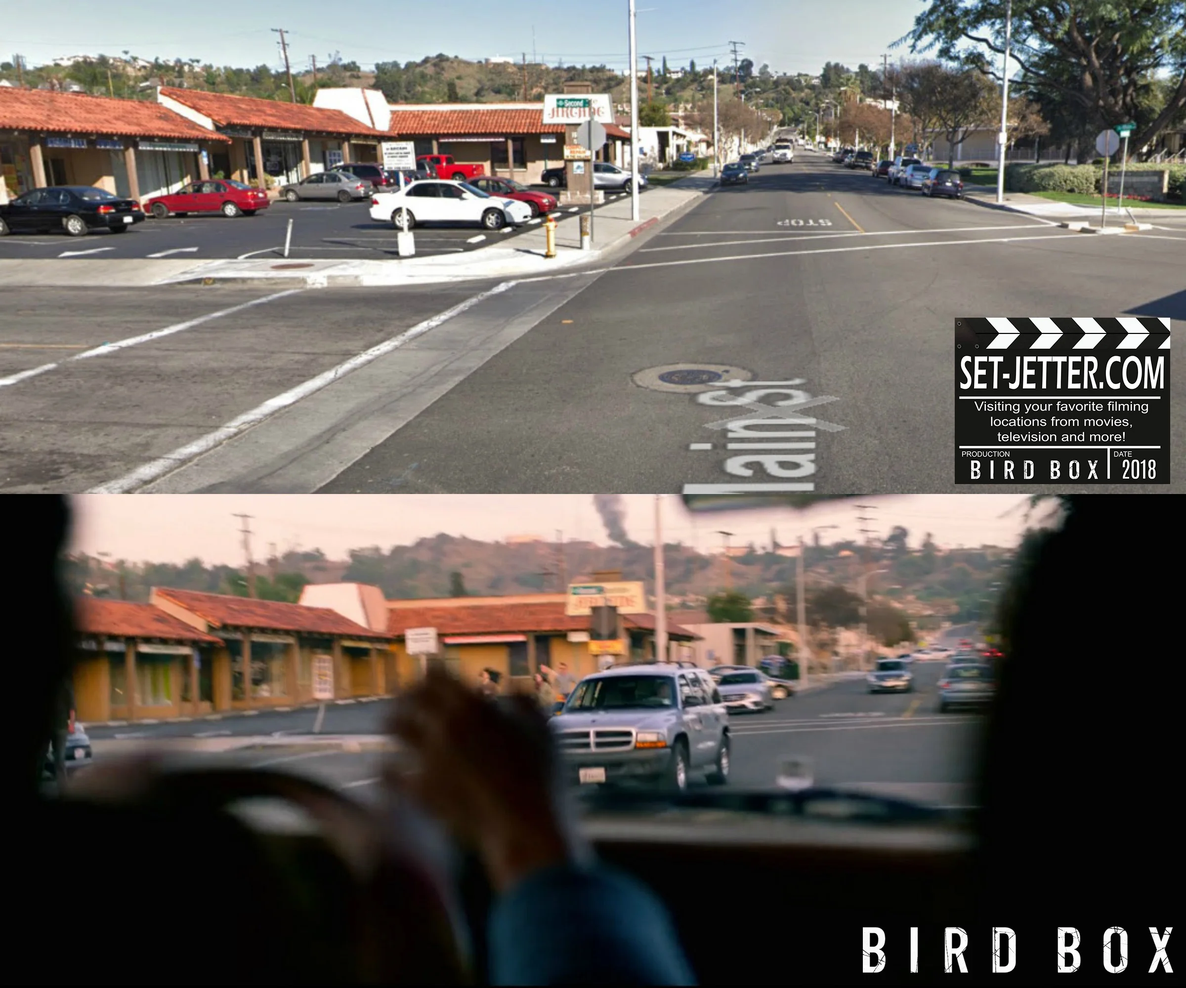 Bird Box La Puente14.jpg