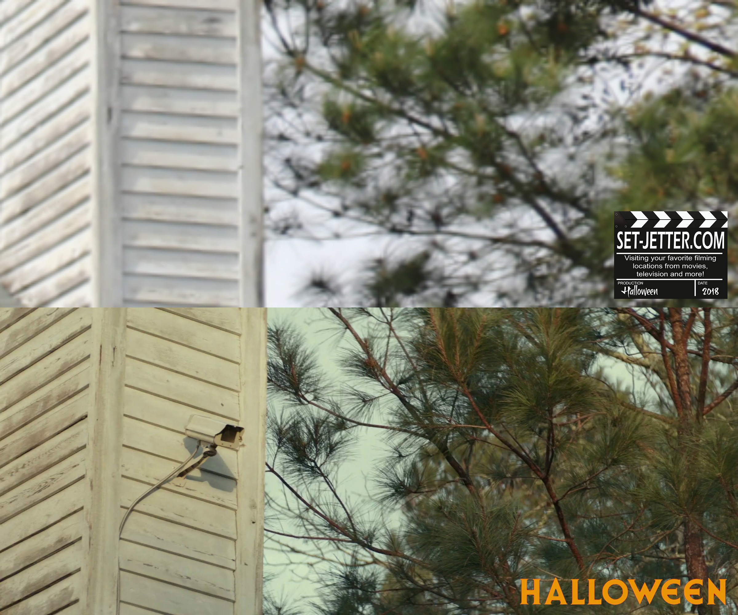 Halloween 106.jpg