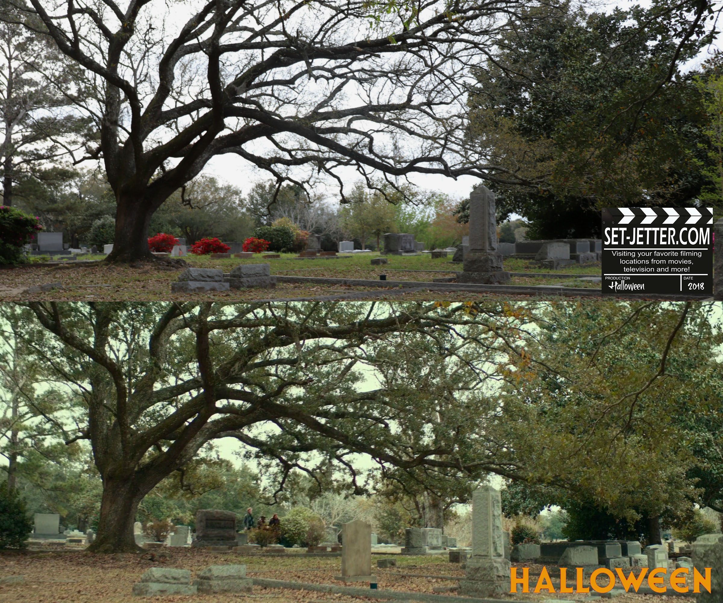 Halloween 384.jpg