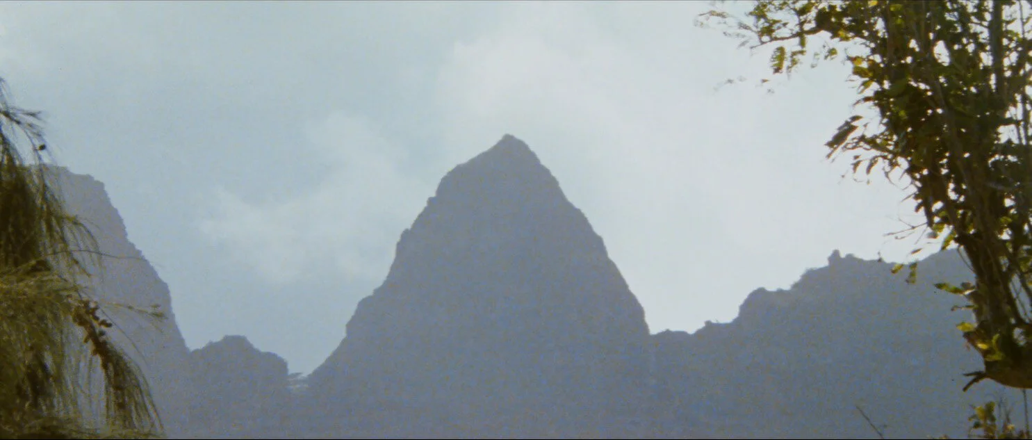 Raiders of the Lost Ark (1981)