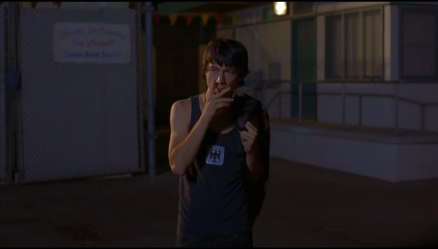 Mysterious Skin (2004)