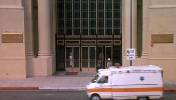 Young Doctors In Love (1982)