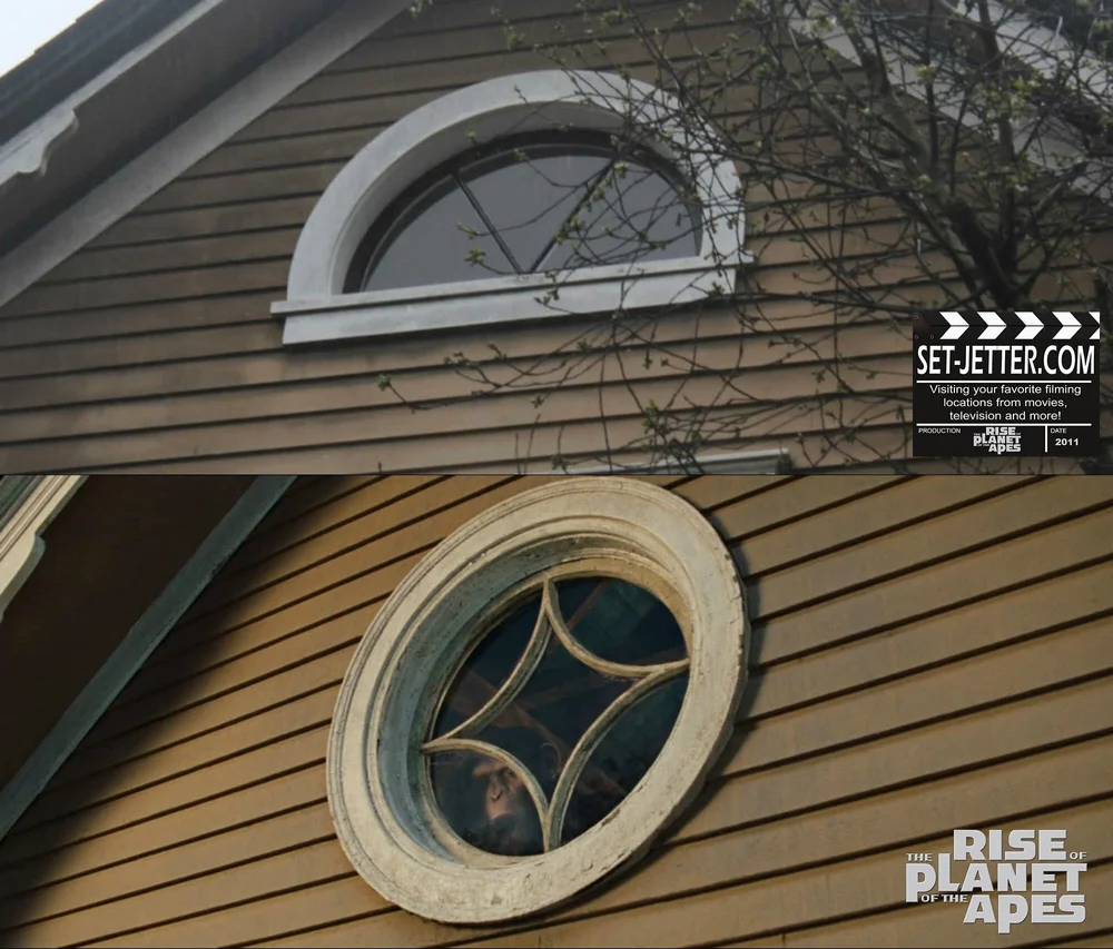 Planet Of The Apes Caesar Window