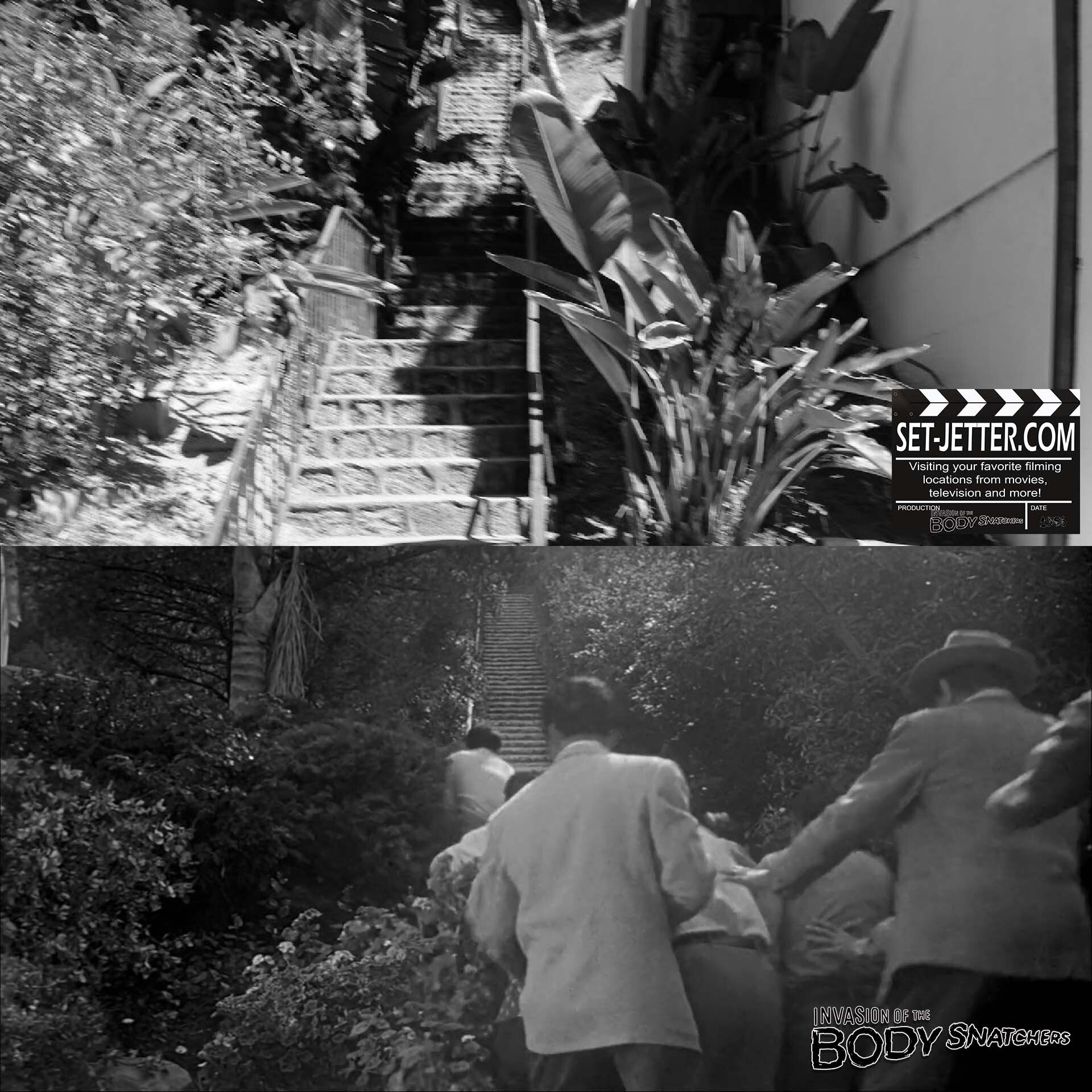 Invasion of the Body Snatchers 1956 (45).jpg