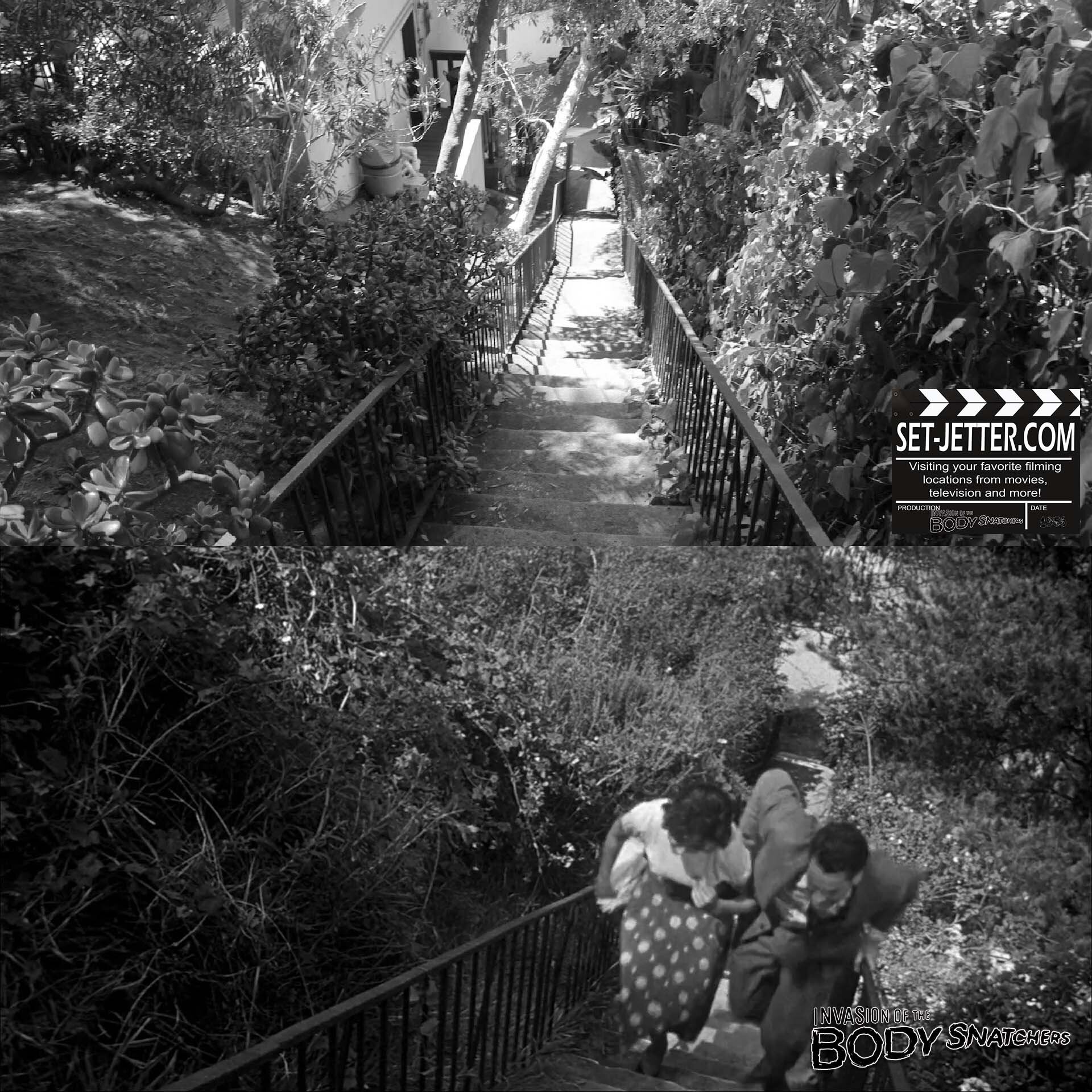 Invasion of the Body Snatchers 1956 (46).jpg