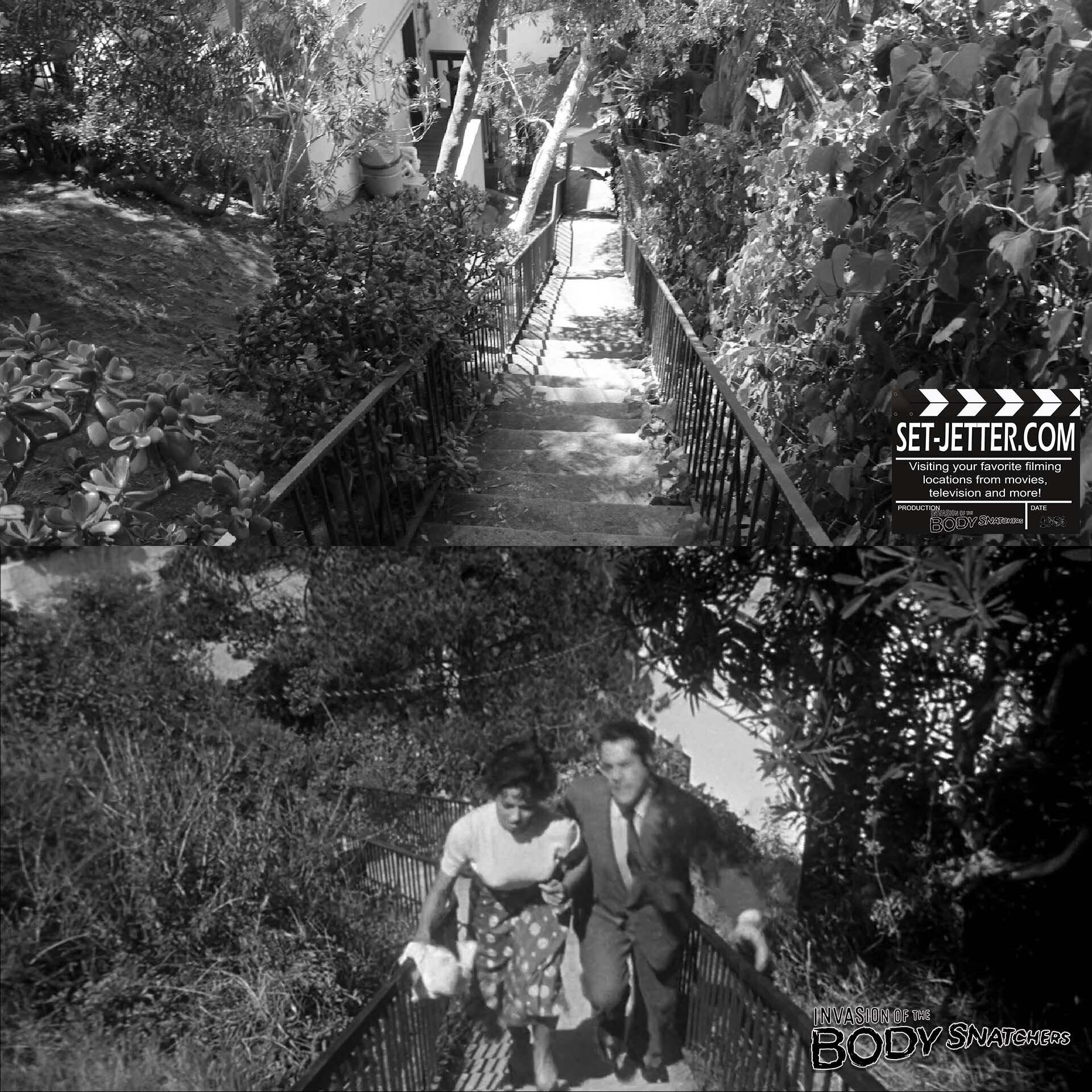 Invasion of the Body Snatchers 1956 (47).jpg