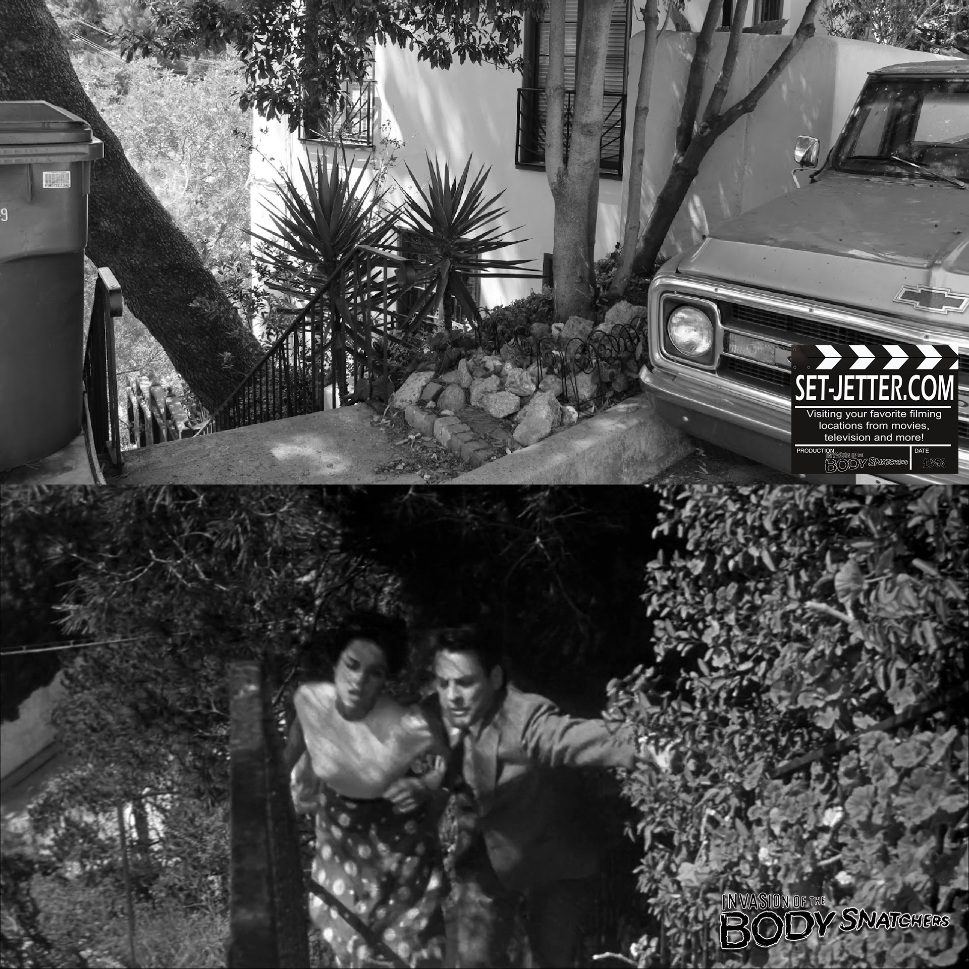Invasion of the Body Snatchers 1956 (49).png