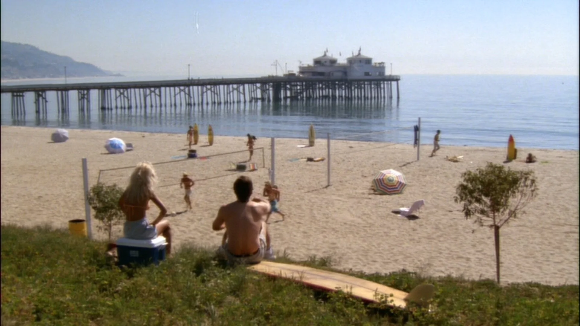 Back To The Beach (1987)
