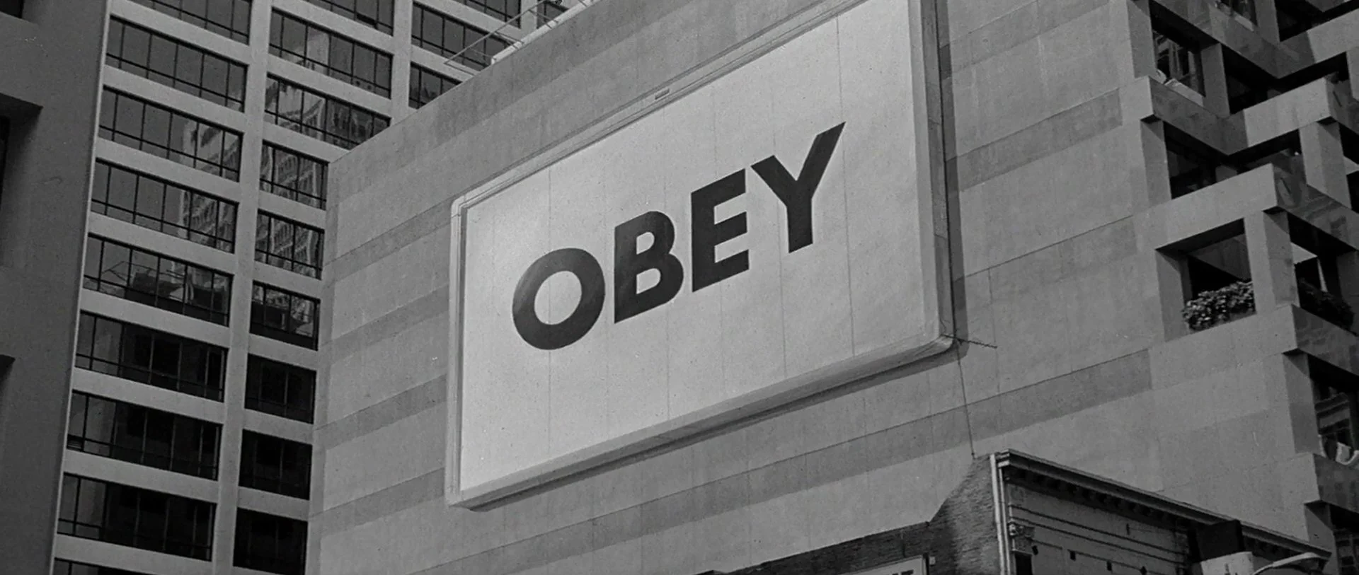 They Live (1988)