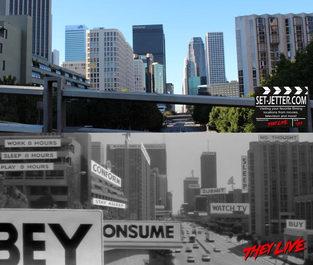 They Live (31).jpg