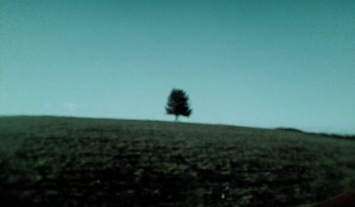 Six Feet Under