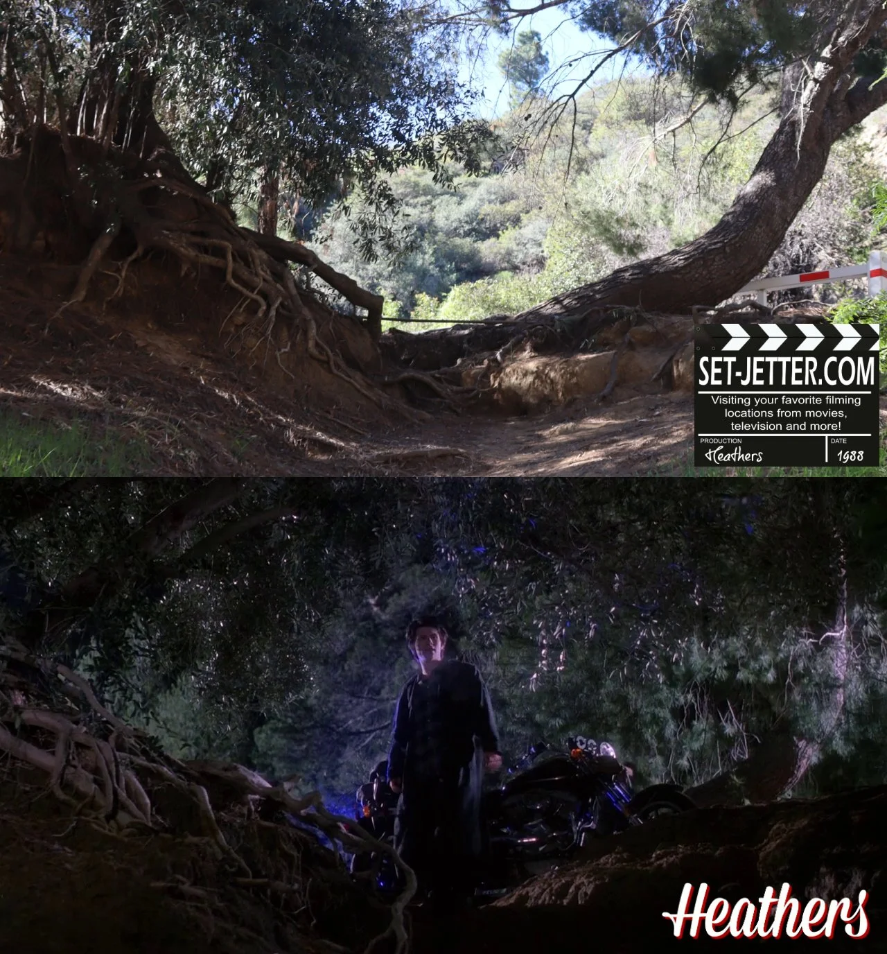 Heathers Griffith (1).jpg