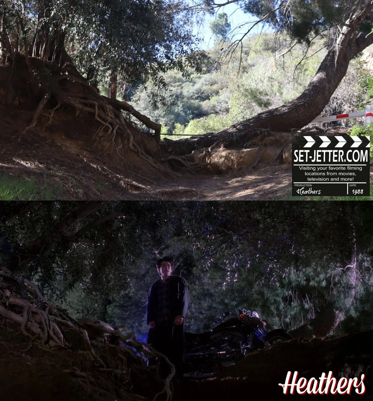 Heathers Griffith (2).jpg