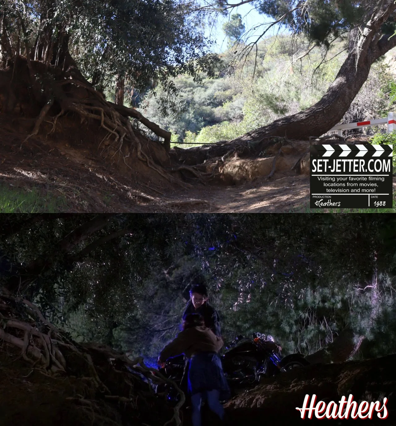 Heathers Griffith (3).jpg