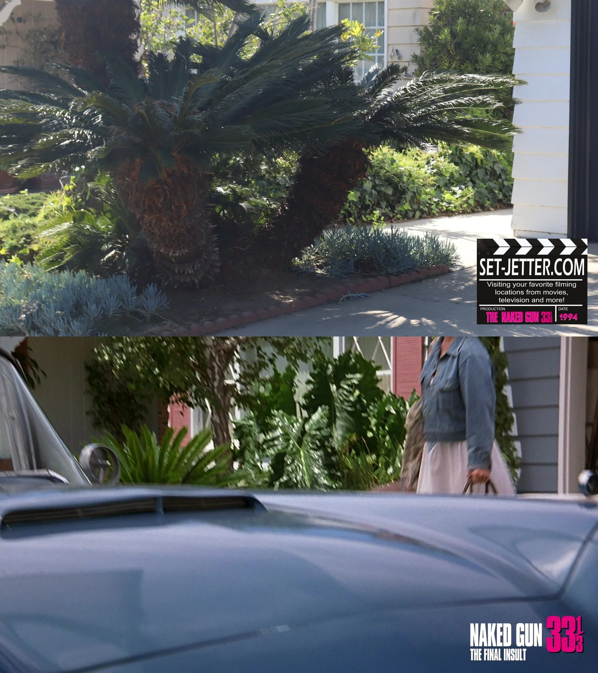 Naked Gun 3 (17).jpg