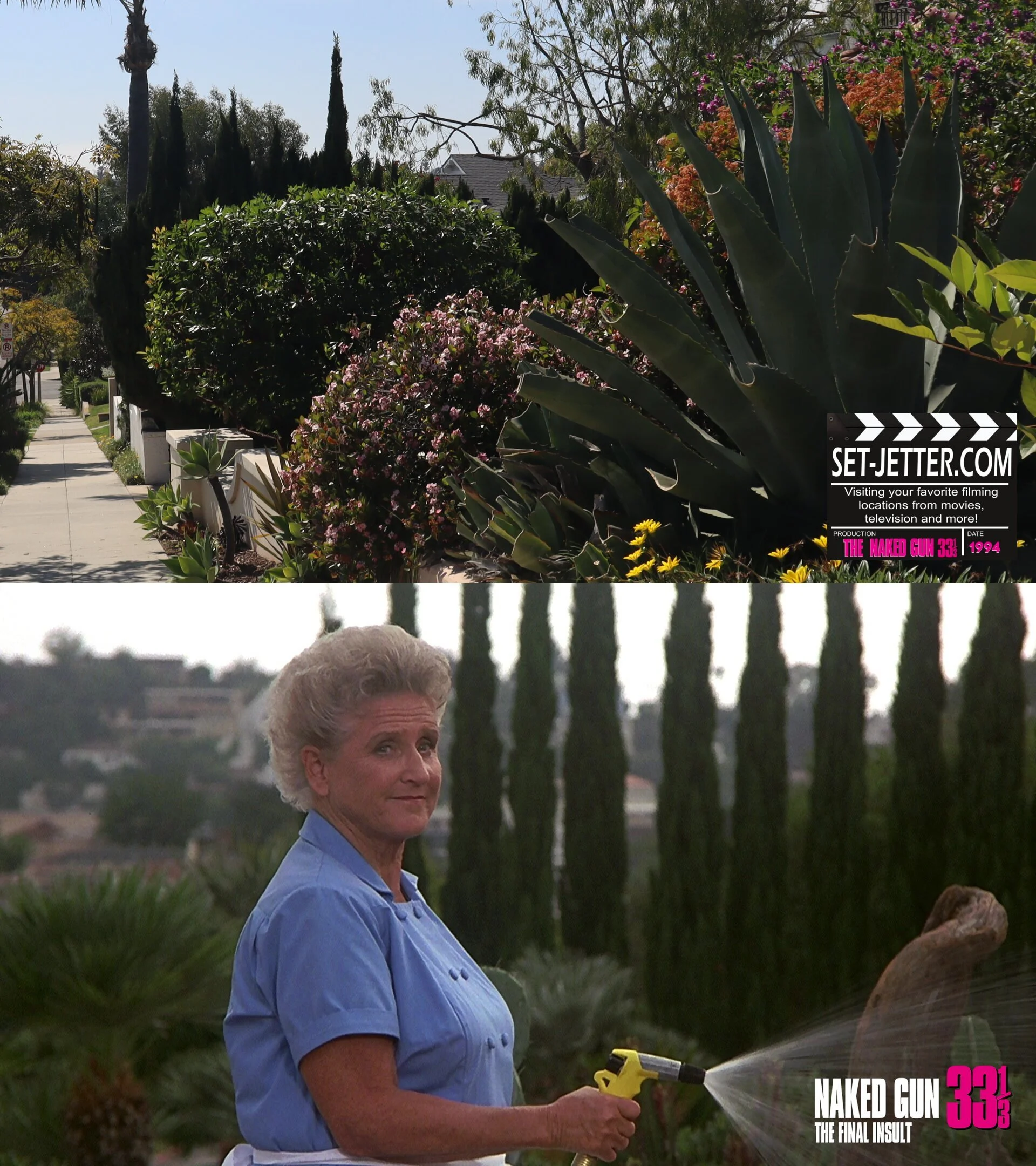 Naked Gun 3 (33).jpg