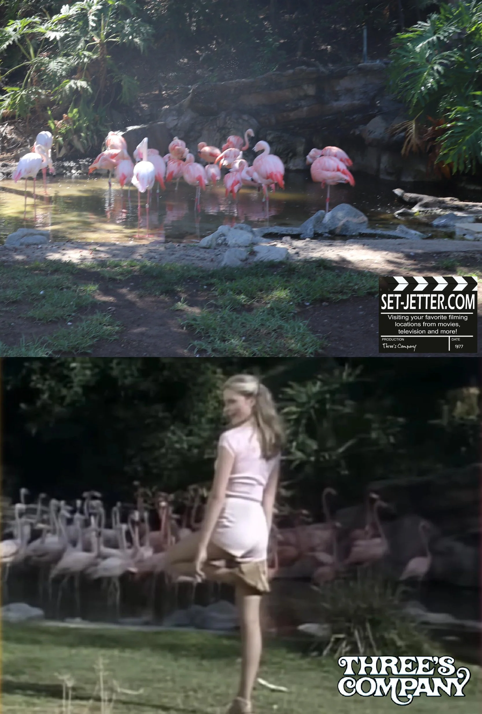 Three's Company zoo.jpg