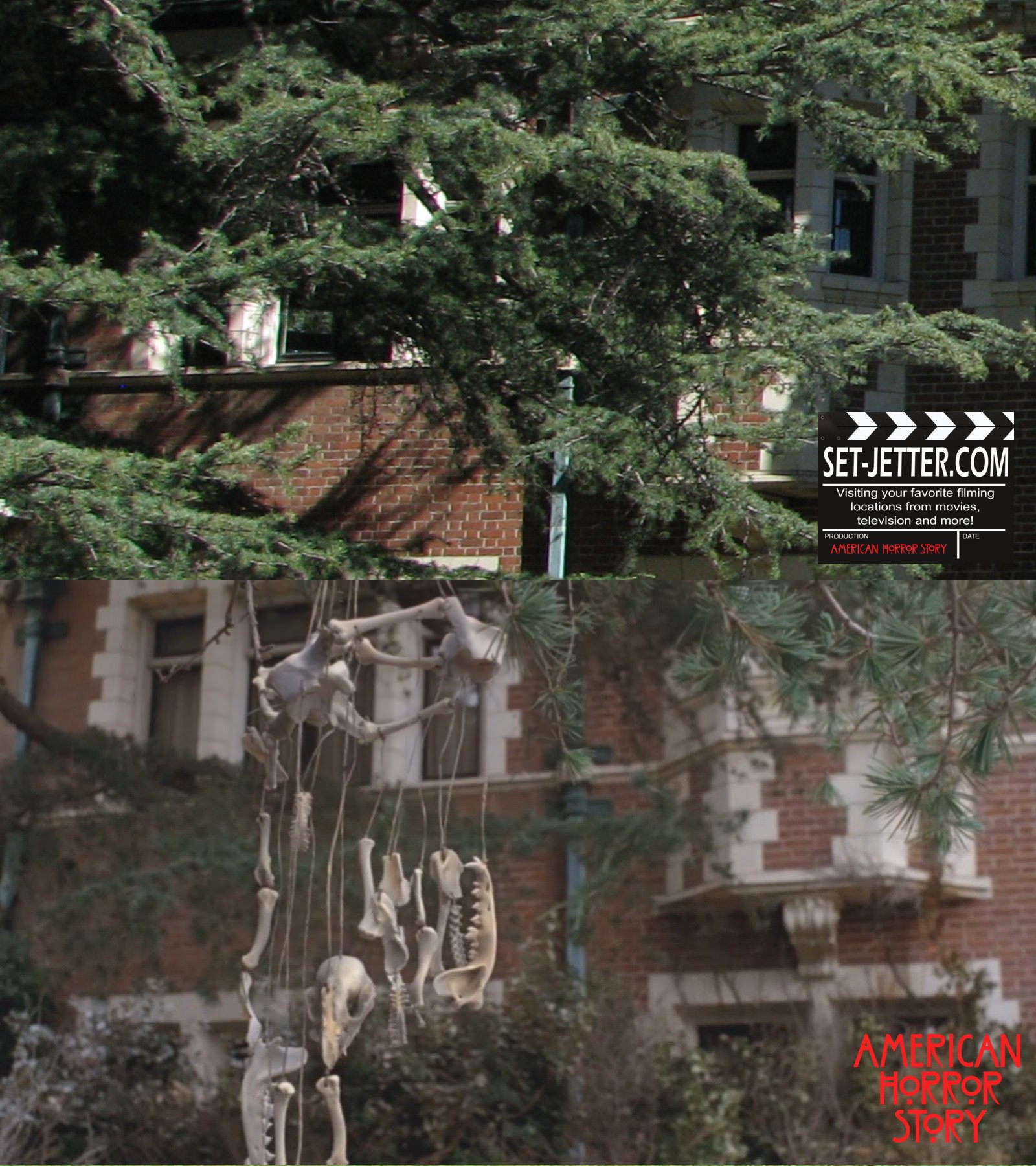 American Horror Story (5).jpg