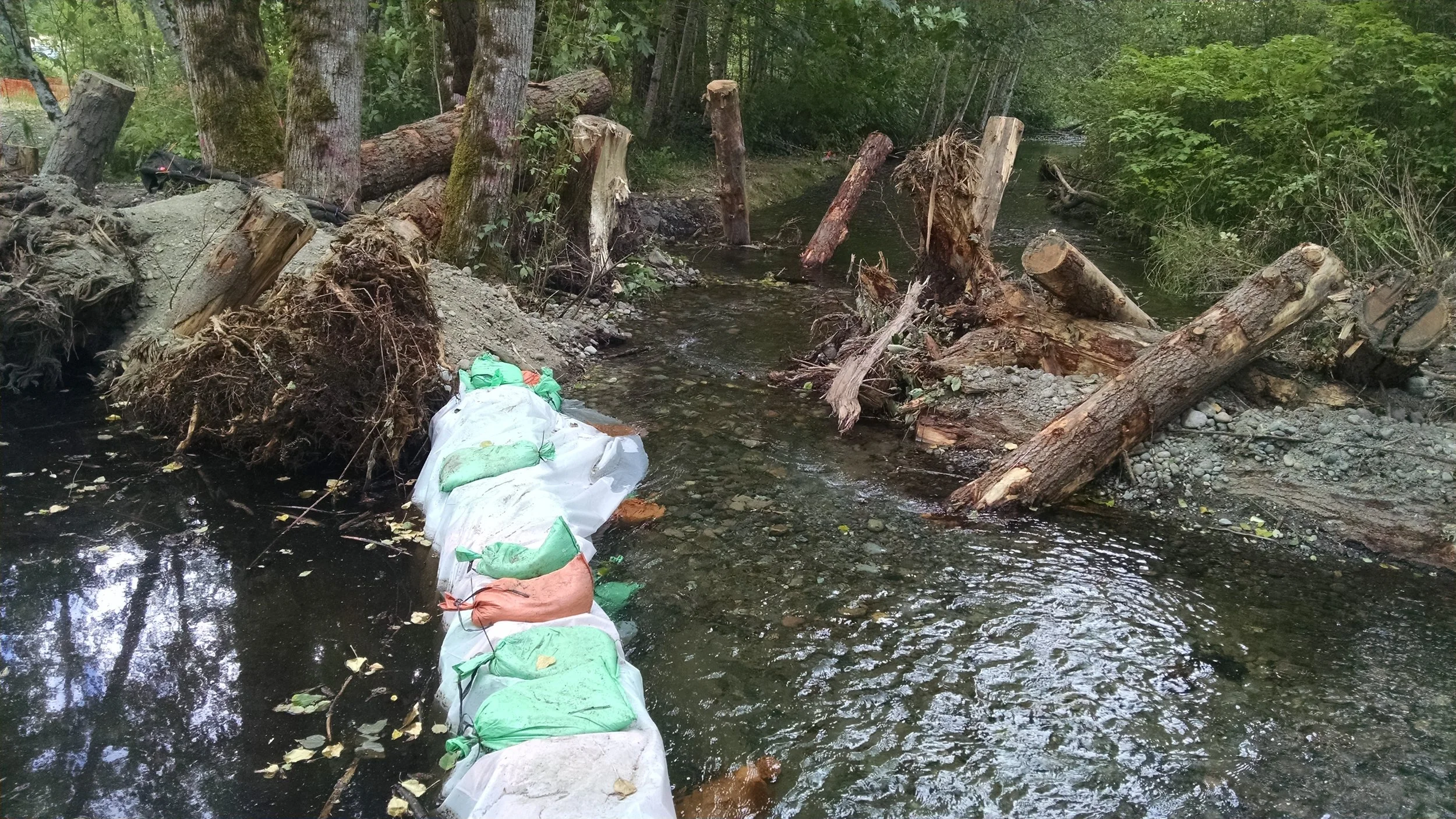 fennel creek cofferdam.jpg