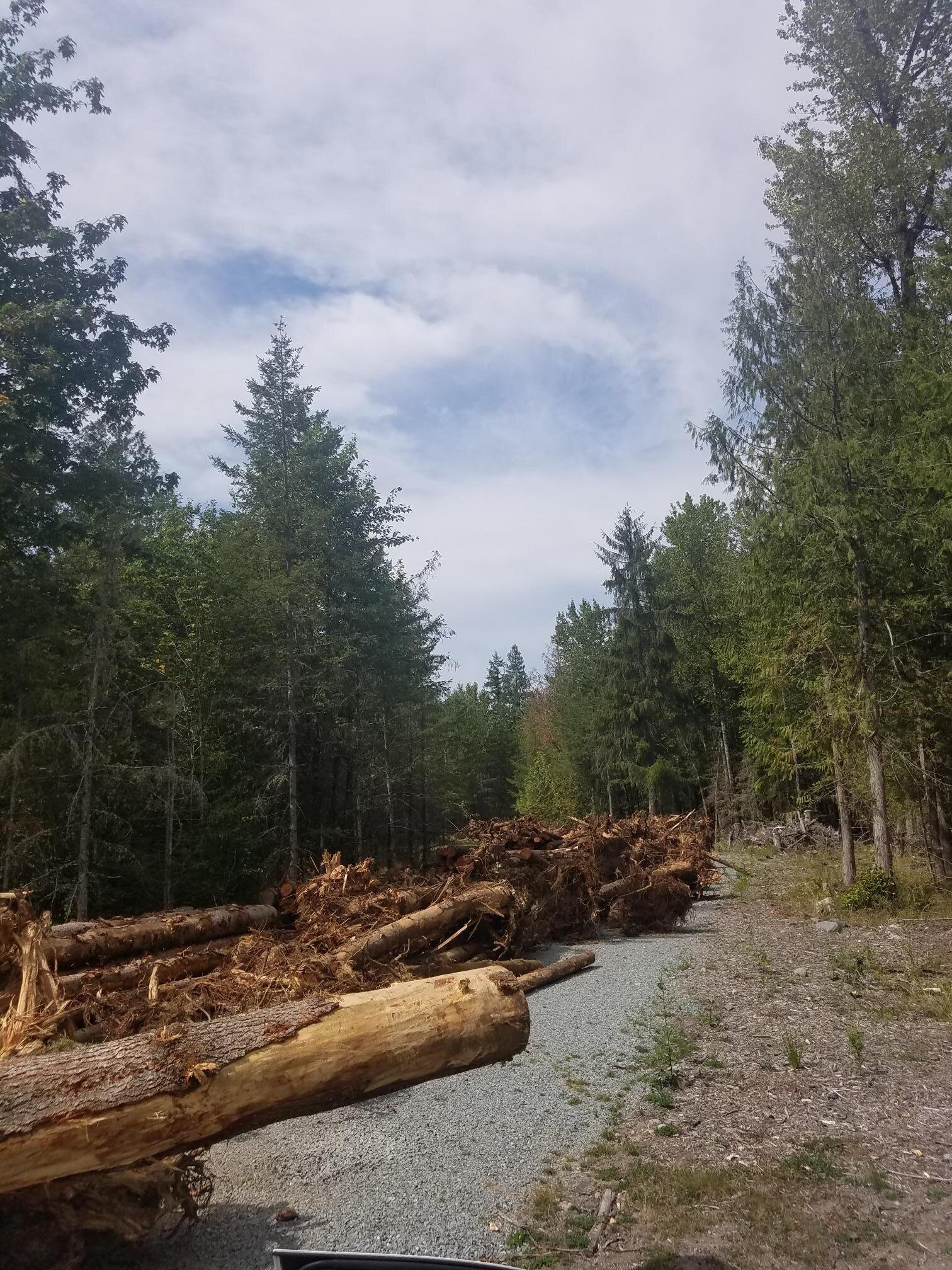 08.20.19 Access Point #2 Road to the Left,  Blocked with Logs.jpg