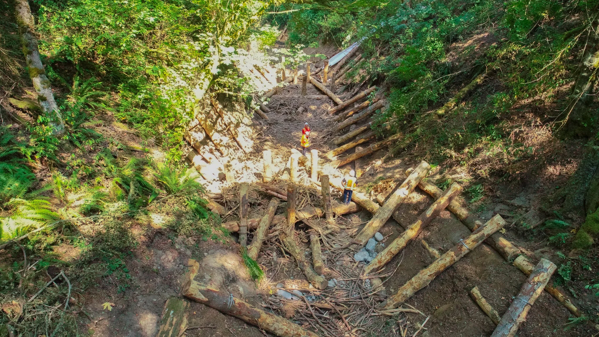 DJI_0049.jpg