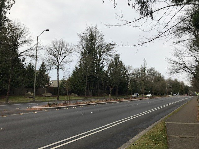 19-017 College St. Yelm Hwy — Active Construction, Inc.