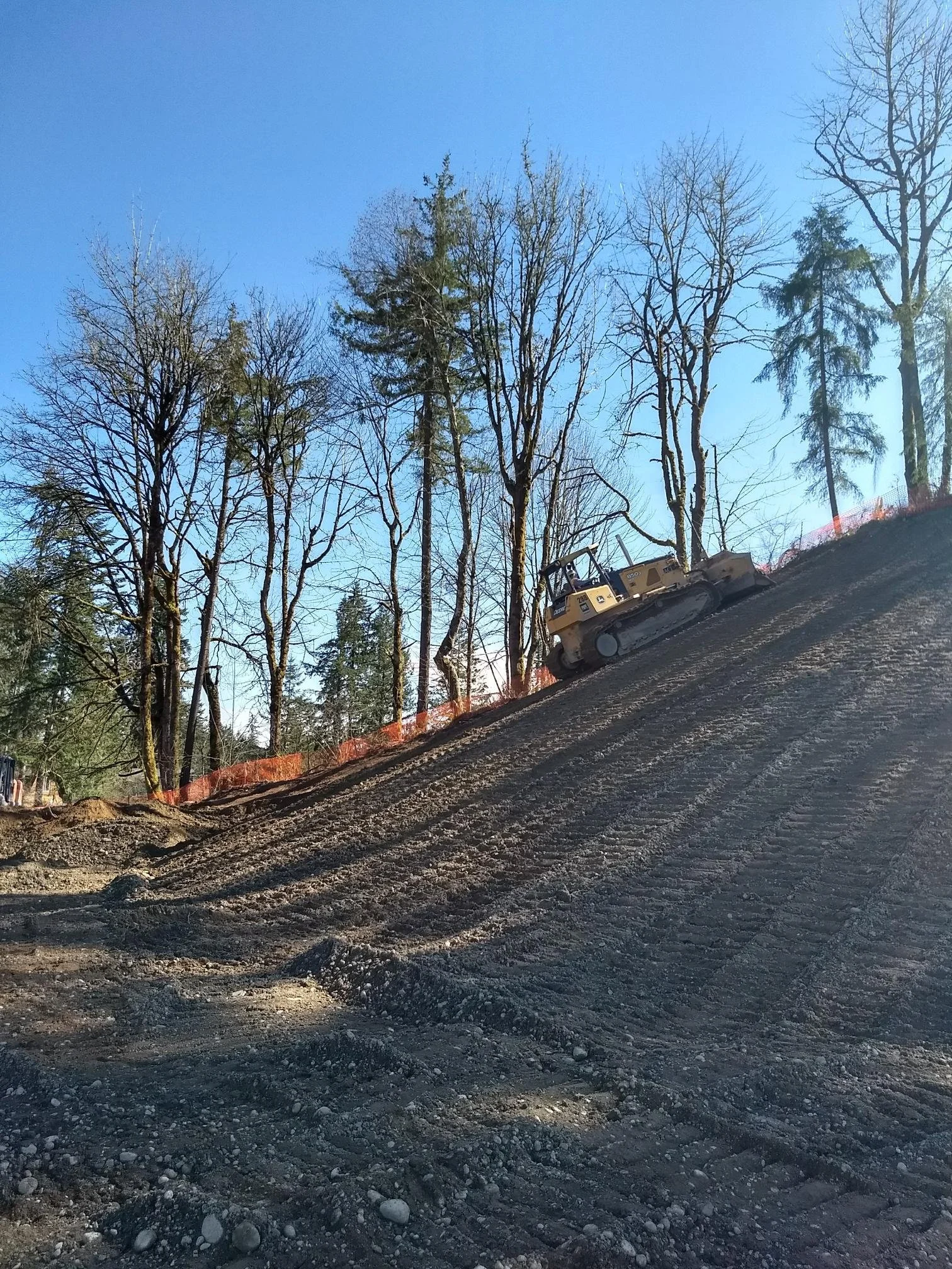 IMG_20190320_144453615_HDR.jpg
