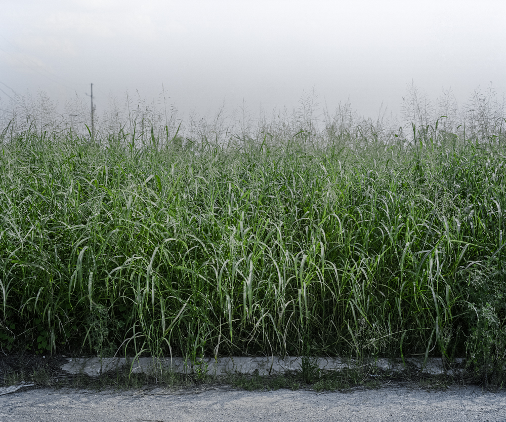 Sidewalk, Ninth Ward, New Orleans, LA, 2010