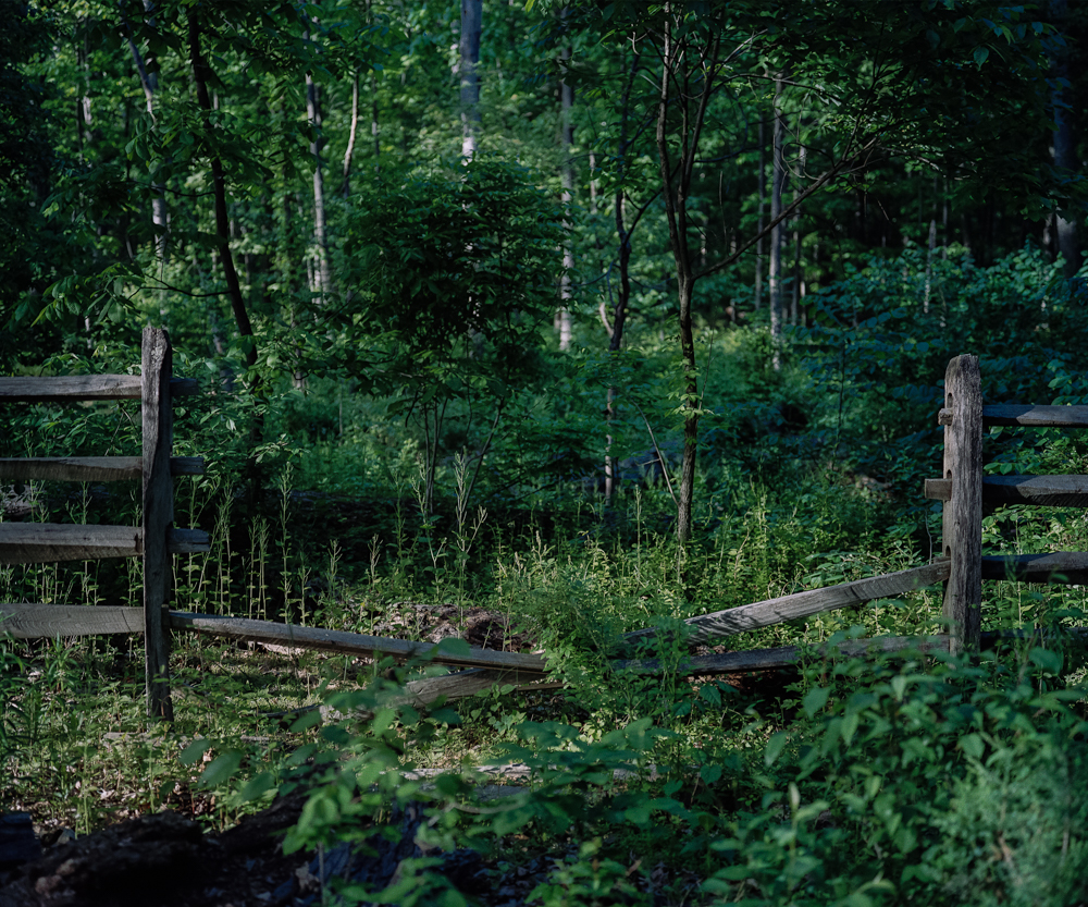 Fence, Gettysburg National Military Park, PA, 2008