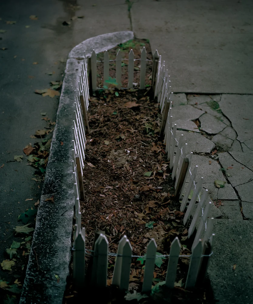 Sidewalk Garden, 2002