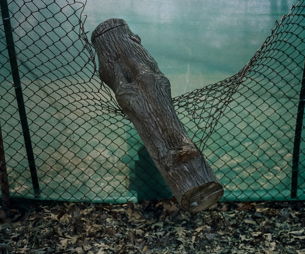 Suspended Log, 2005