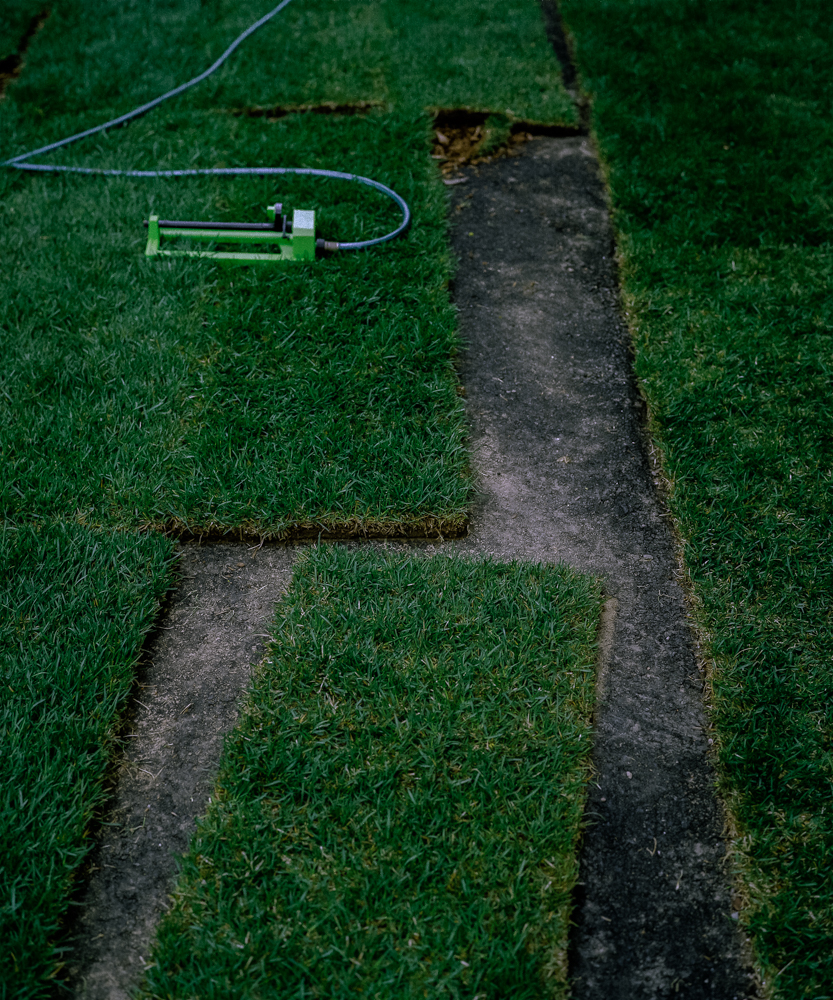 Grass over Asphalt, 2002