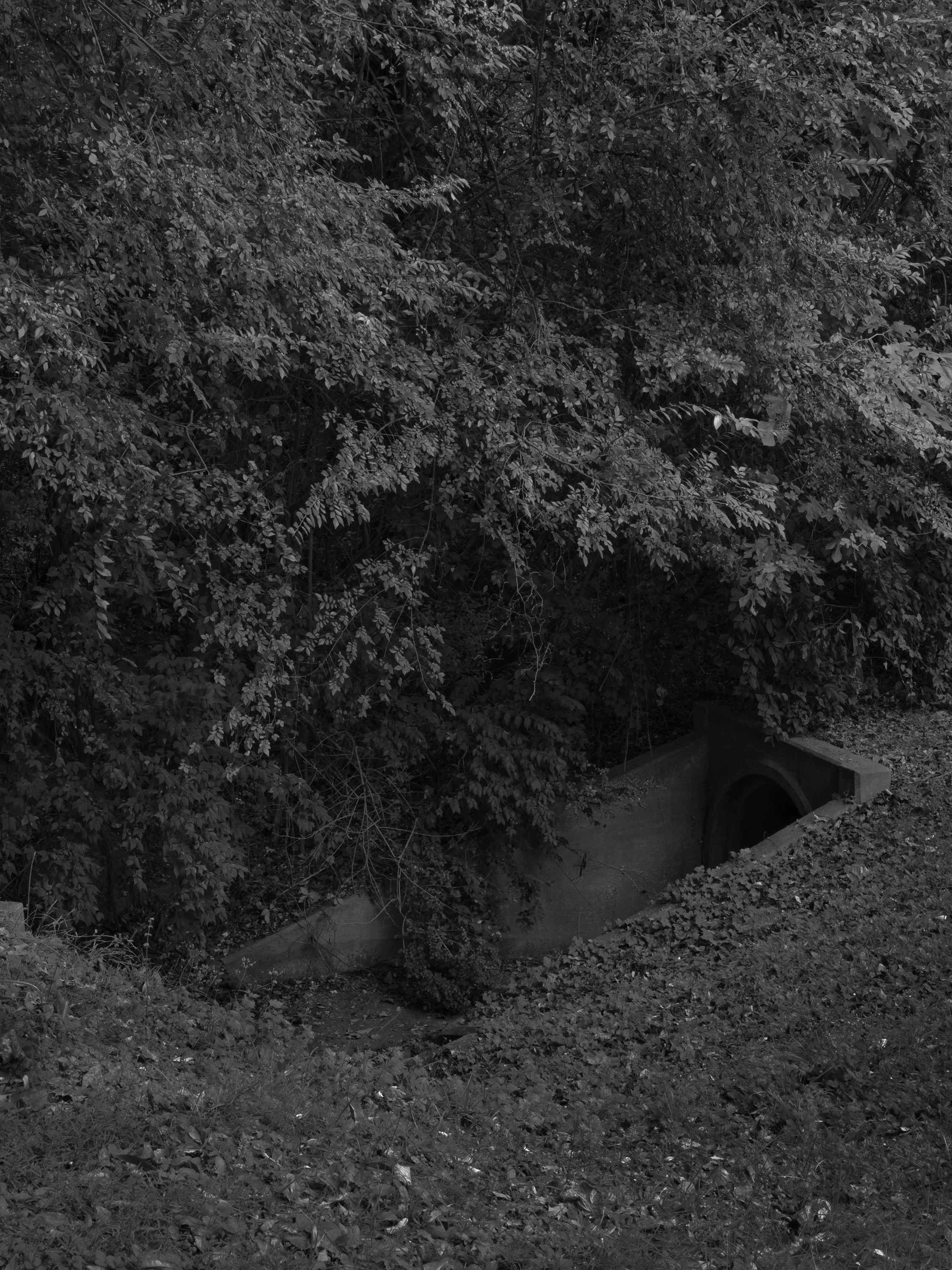 Untitled #2, University of Georgia, Athens, GA, 2025