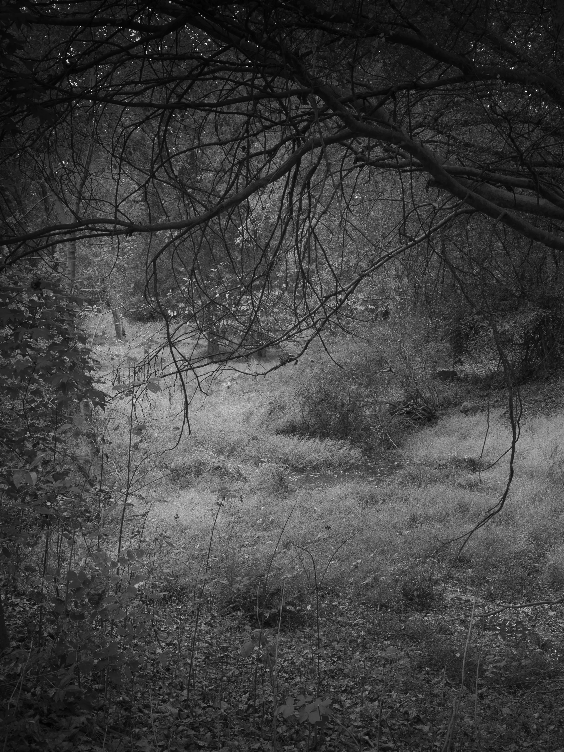 Untitled #4, University of Georgia, Athens, GA, 2025