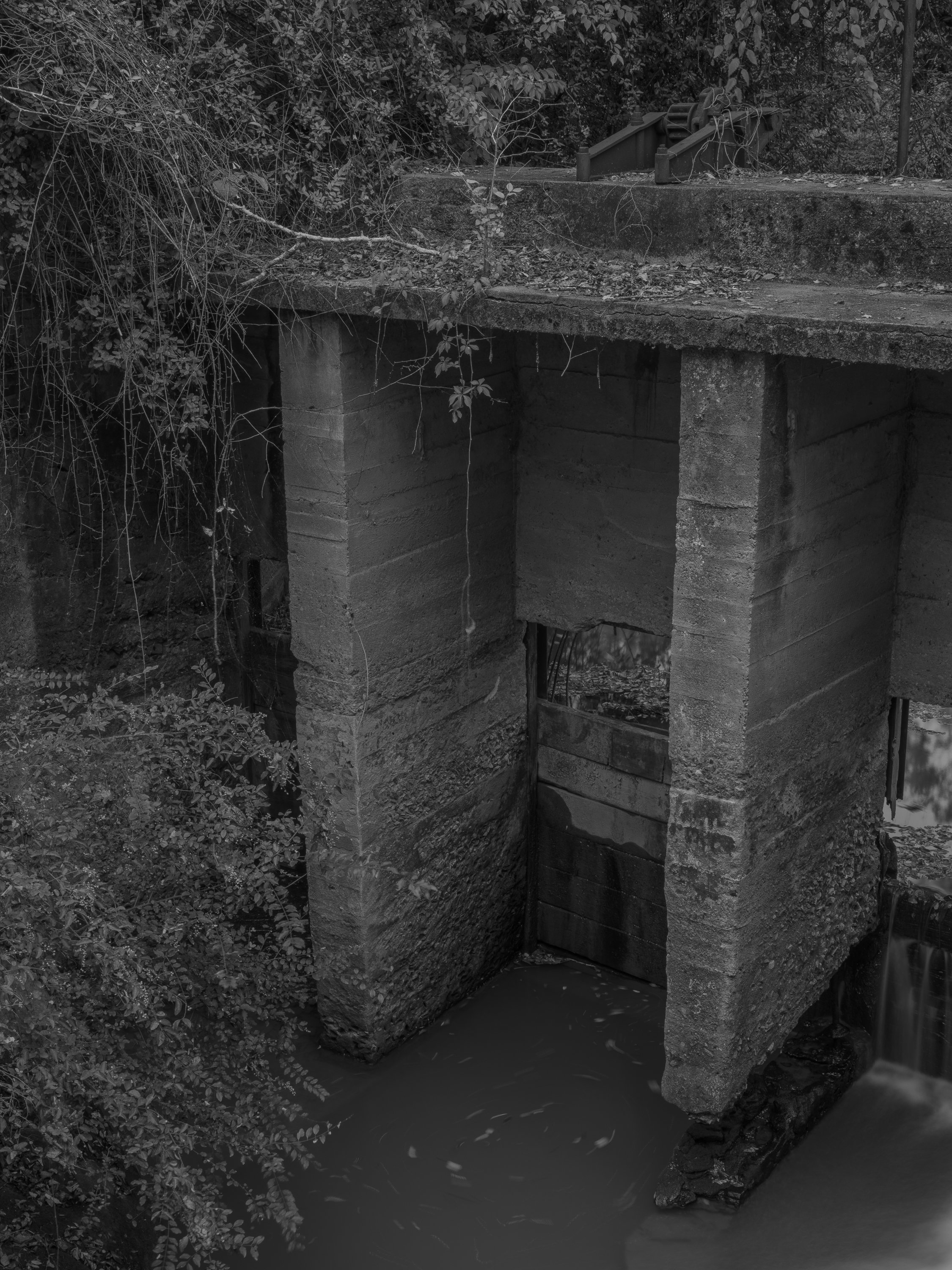 Untitled #9, University of Georgia, Athens, GA, 2025