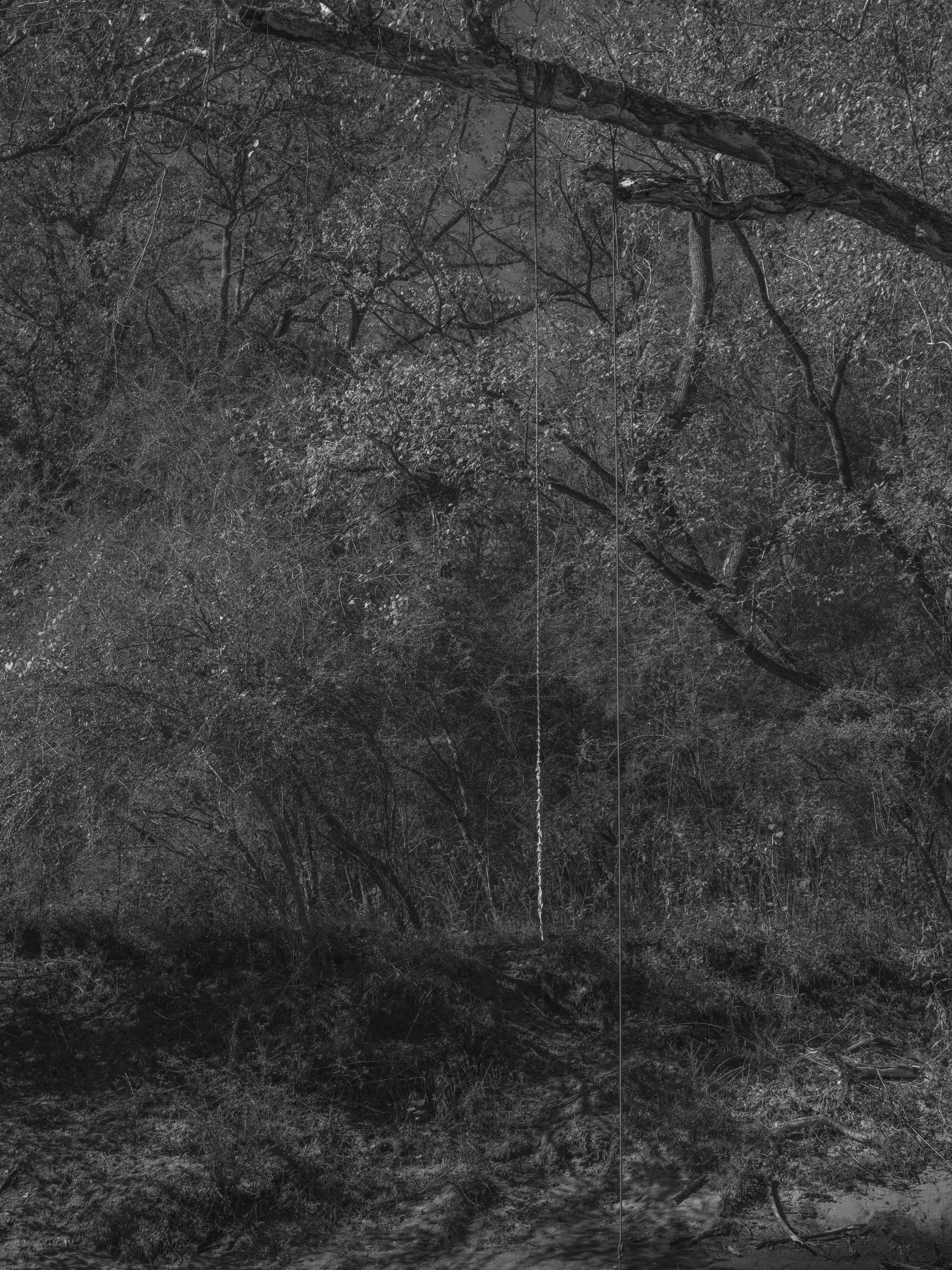 Untitled #19, Middle Oconee River, Athens, GA, 2025