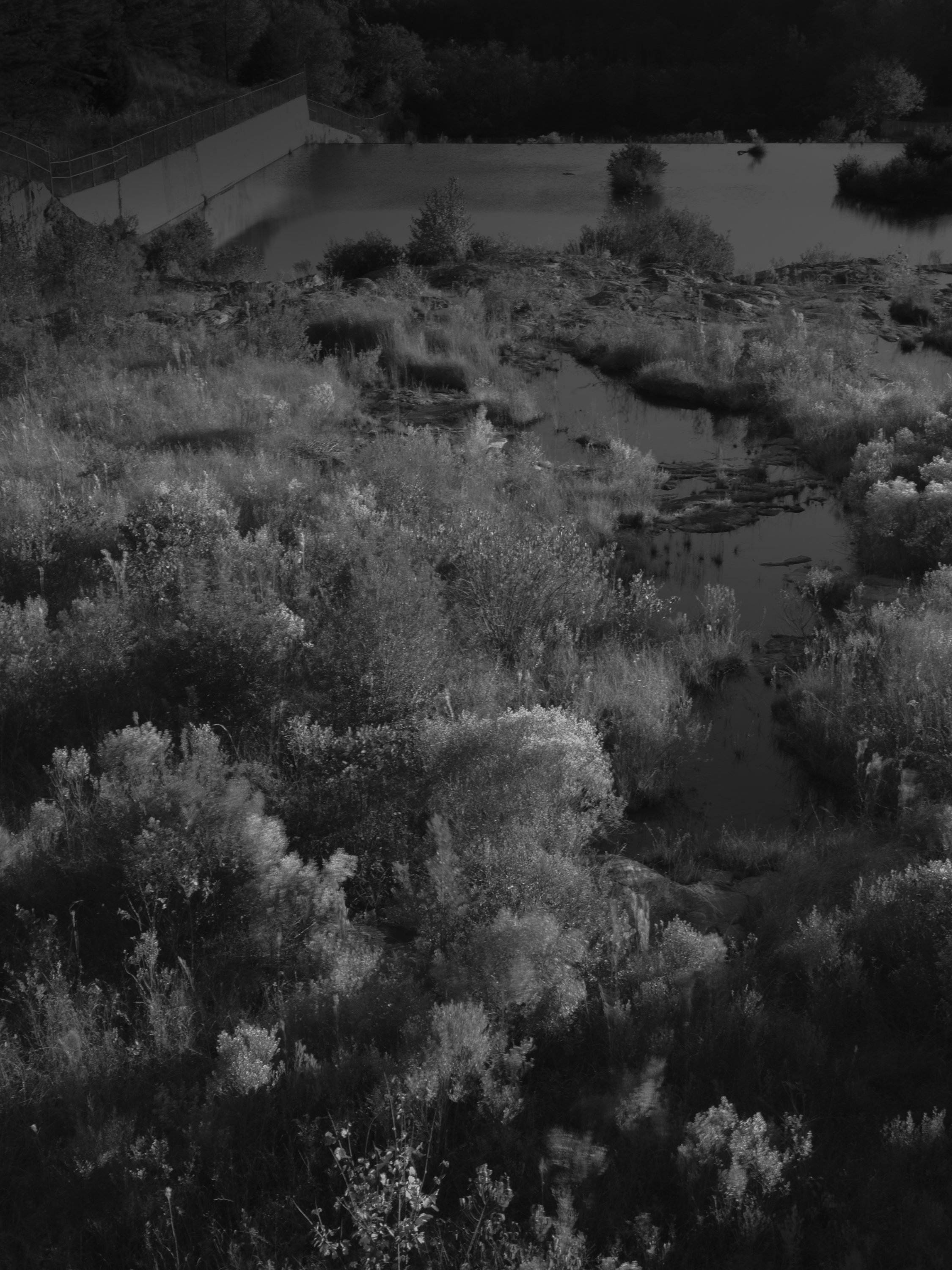 Untitled #16, Bear Creek Reservoir, Bogart, GA, 2025