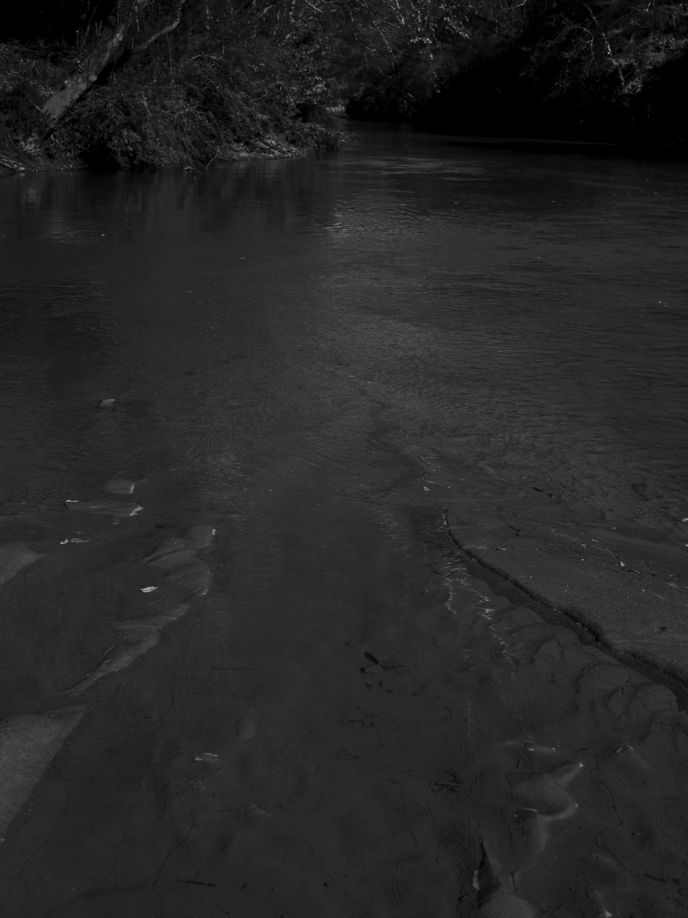 Untitled #24, Convergence of Middle Oconee River and North Oconee River, Athens, GA, 2025