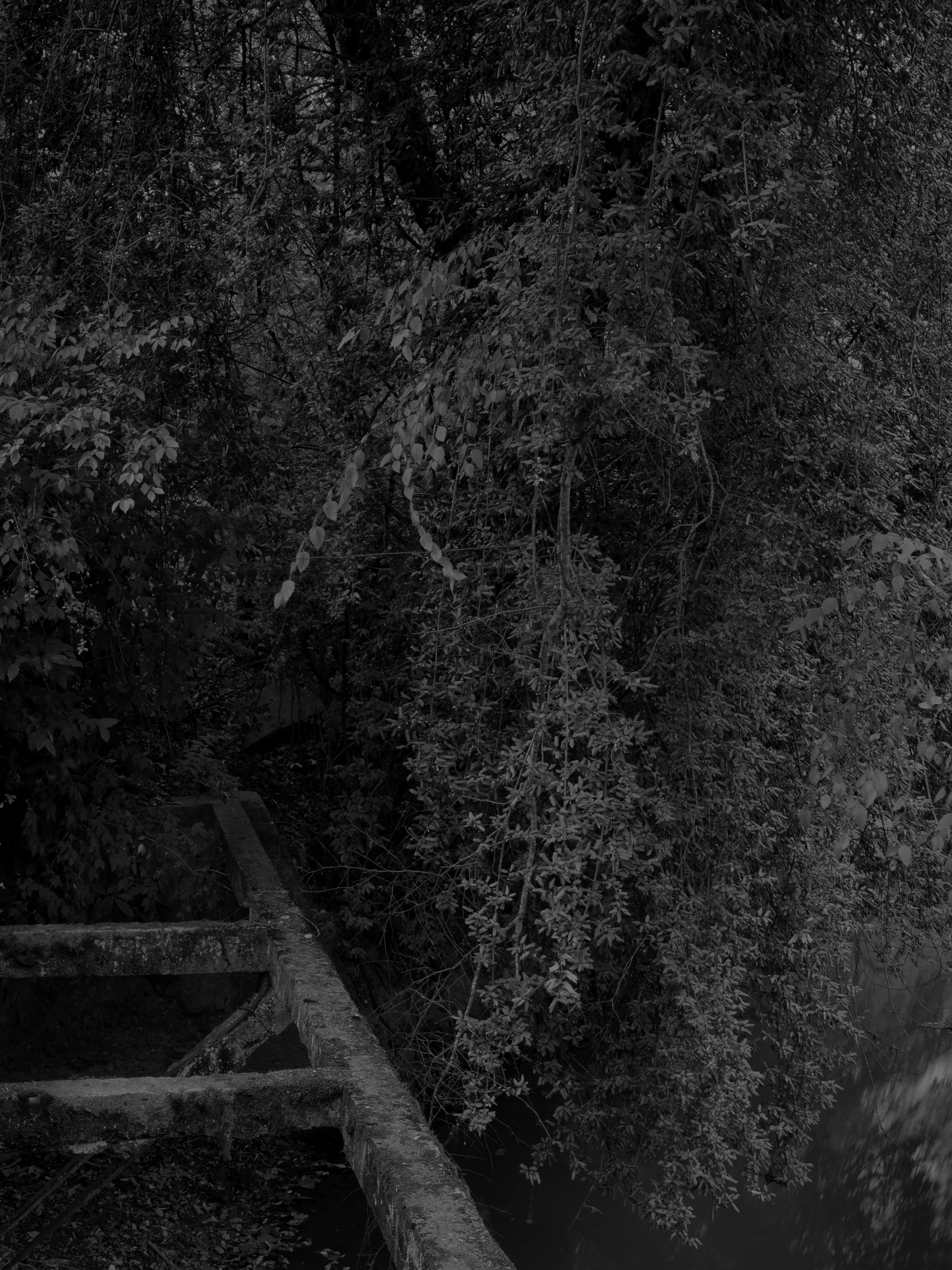 Untitled #8, University of Georgia, Athens, GA, 2025