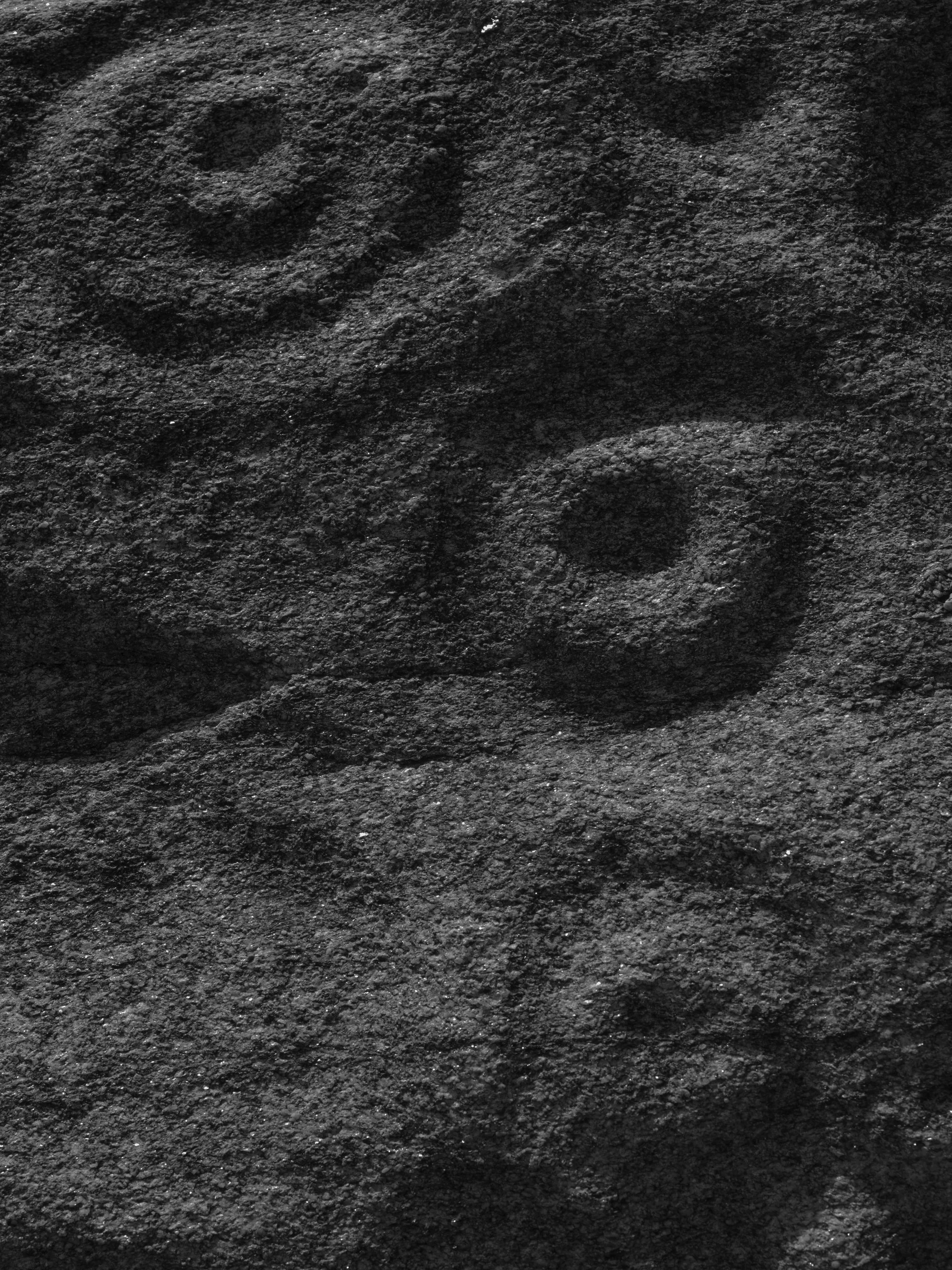 Untitled #12, University of Georgia, Athens, GA, 2025