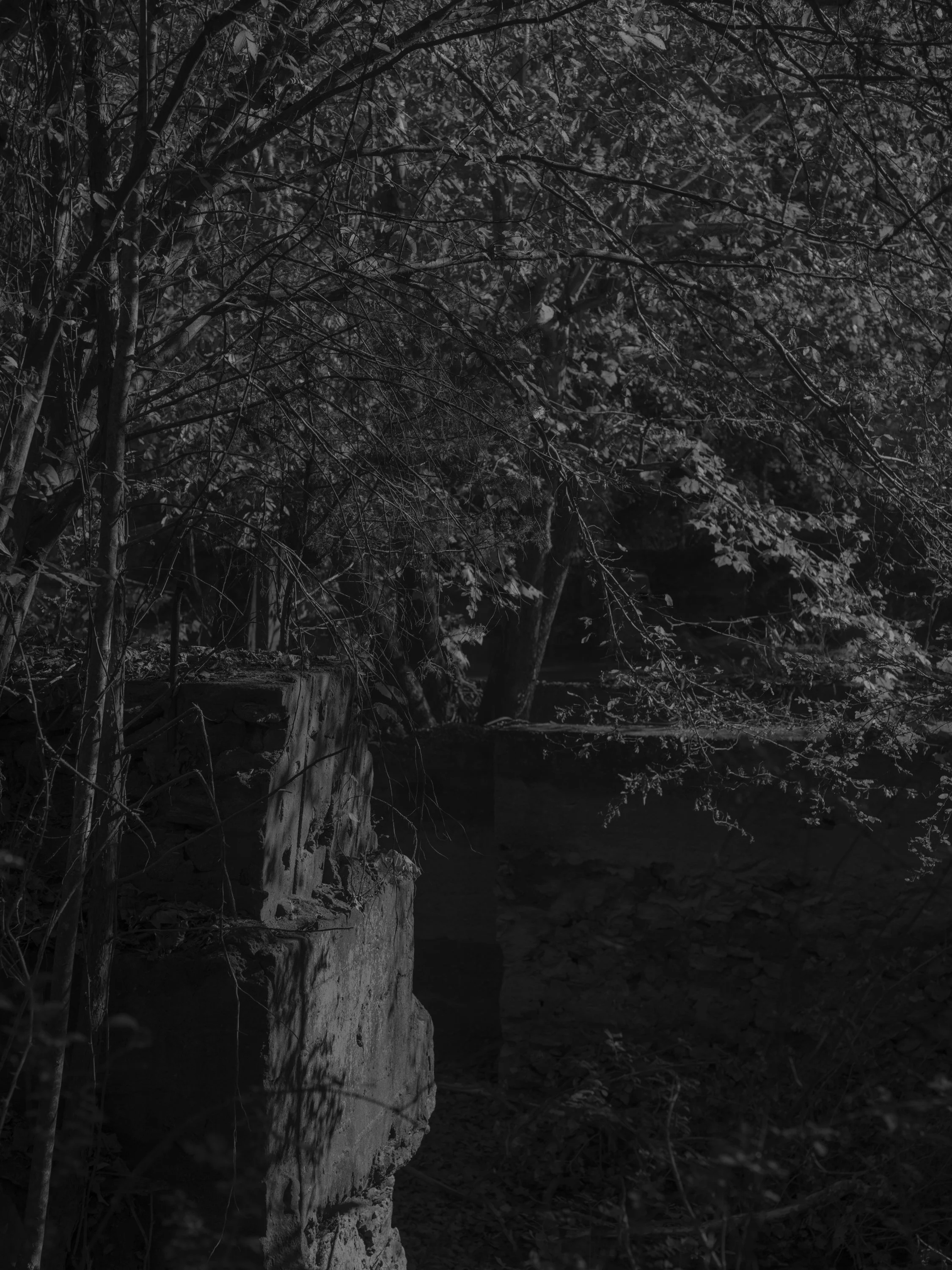 Untitled #21, Middle Oconee River, Athens, GA, 2025