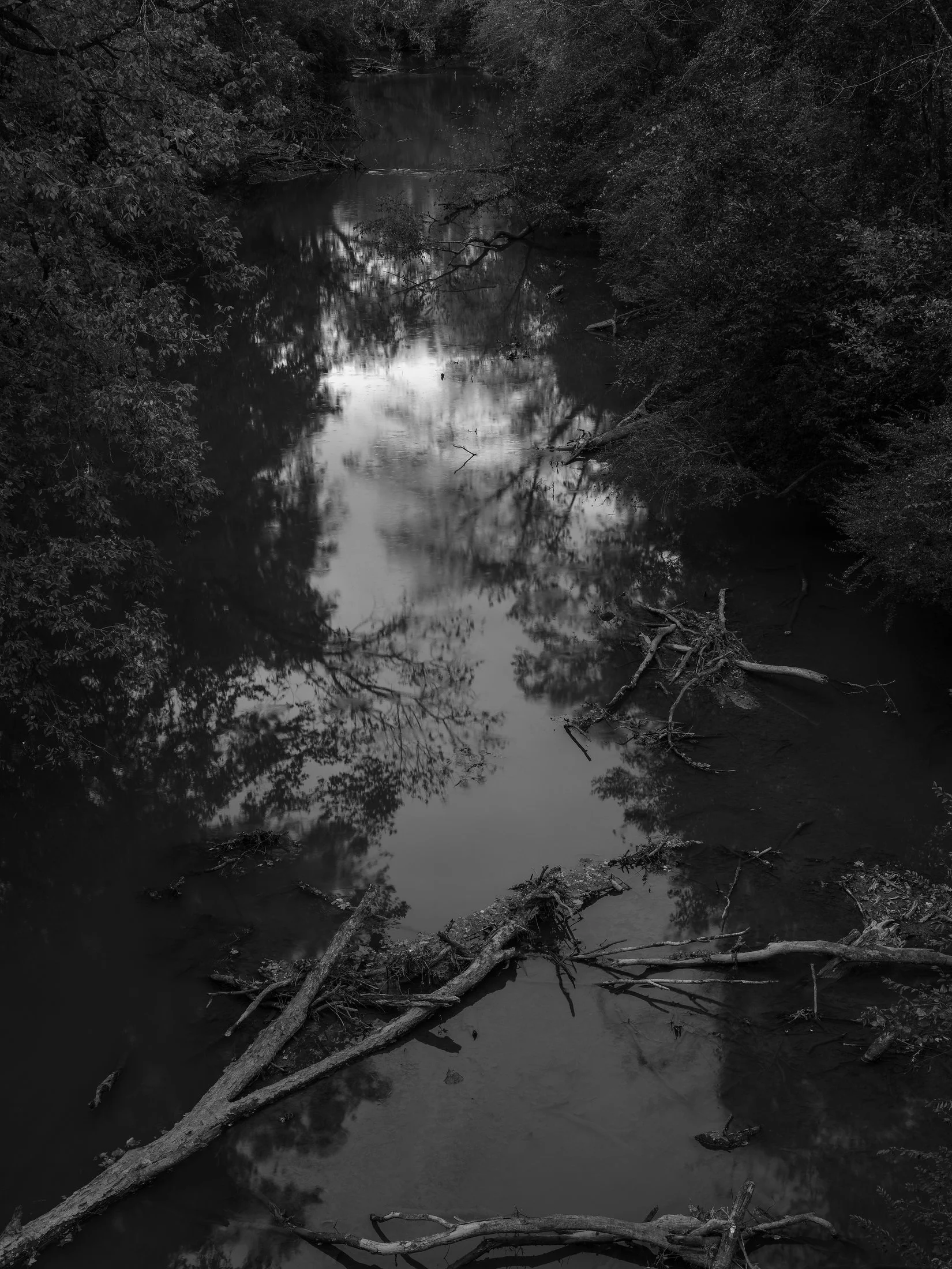 Untitled #1, University of Georgia, Athens, GA, 2025