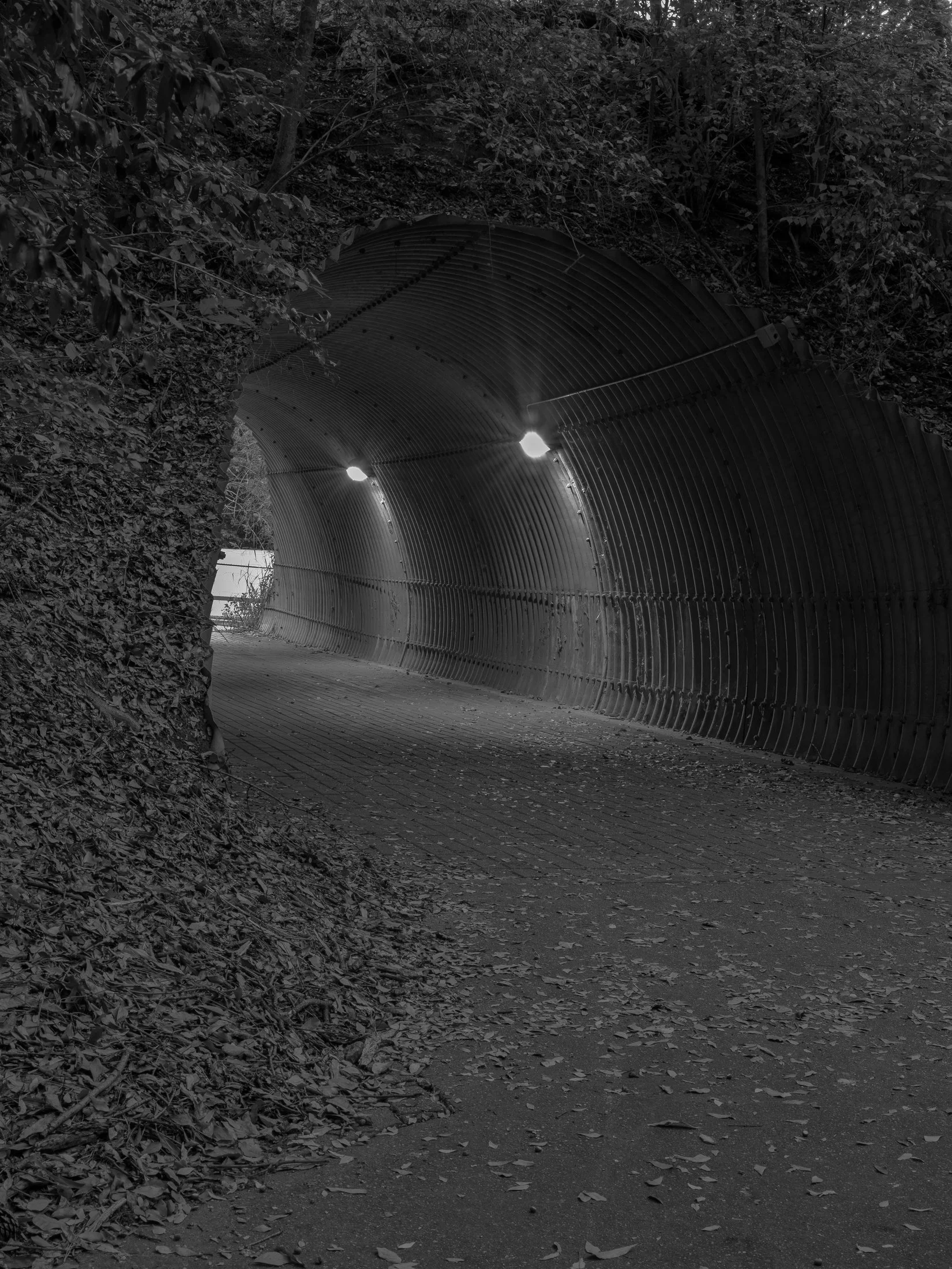 Untitled #3, University of Georgia, Athens, GA, 2025