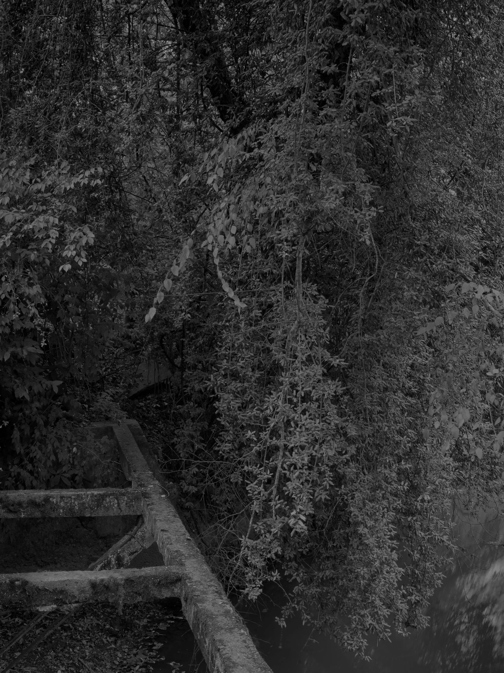 Untitled #8, University of Georgia, Athens, GA, 2025