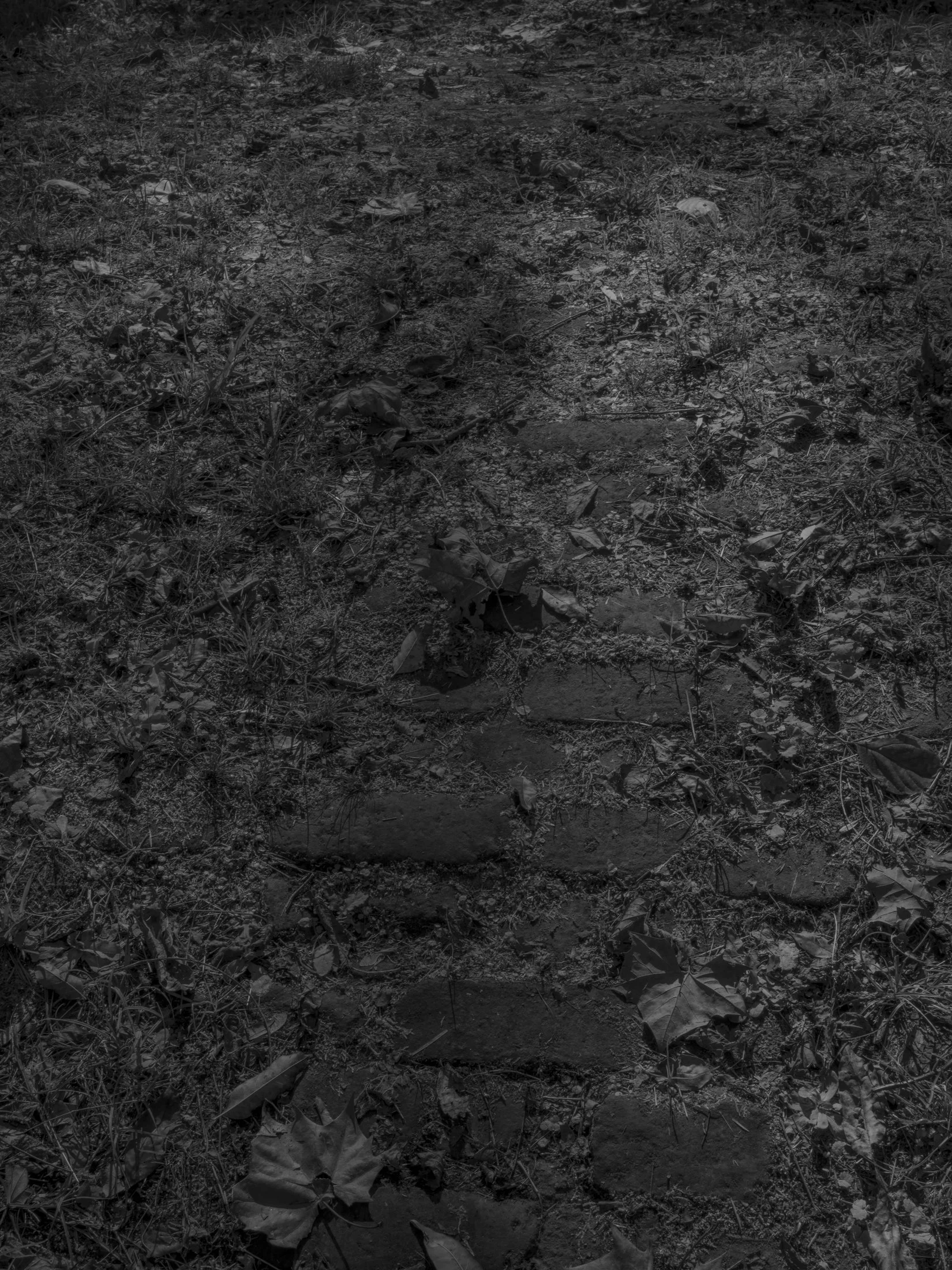 Untitled #10, Scull Shoals, Oconee National Forest, GA, 2025