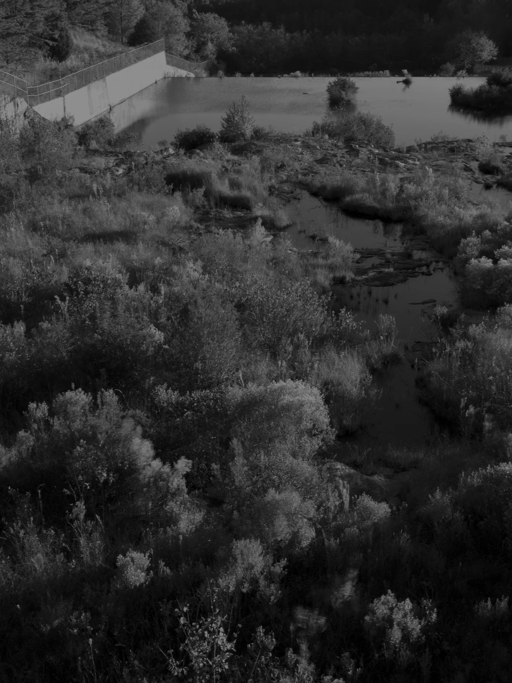 Untitled #16, Bear Creek Reservoir, Bogart, GA, 2025