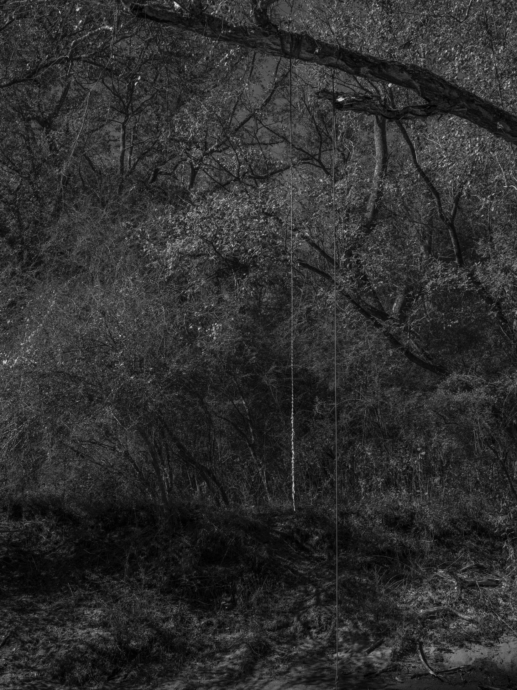 Untitled #19, Middle Oconee River, Athens, GA, 2025