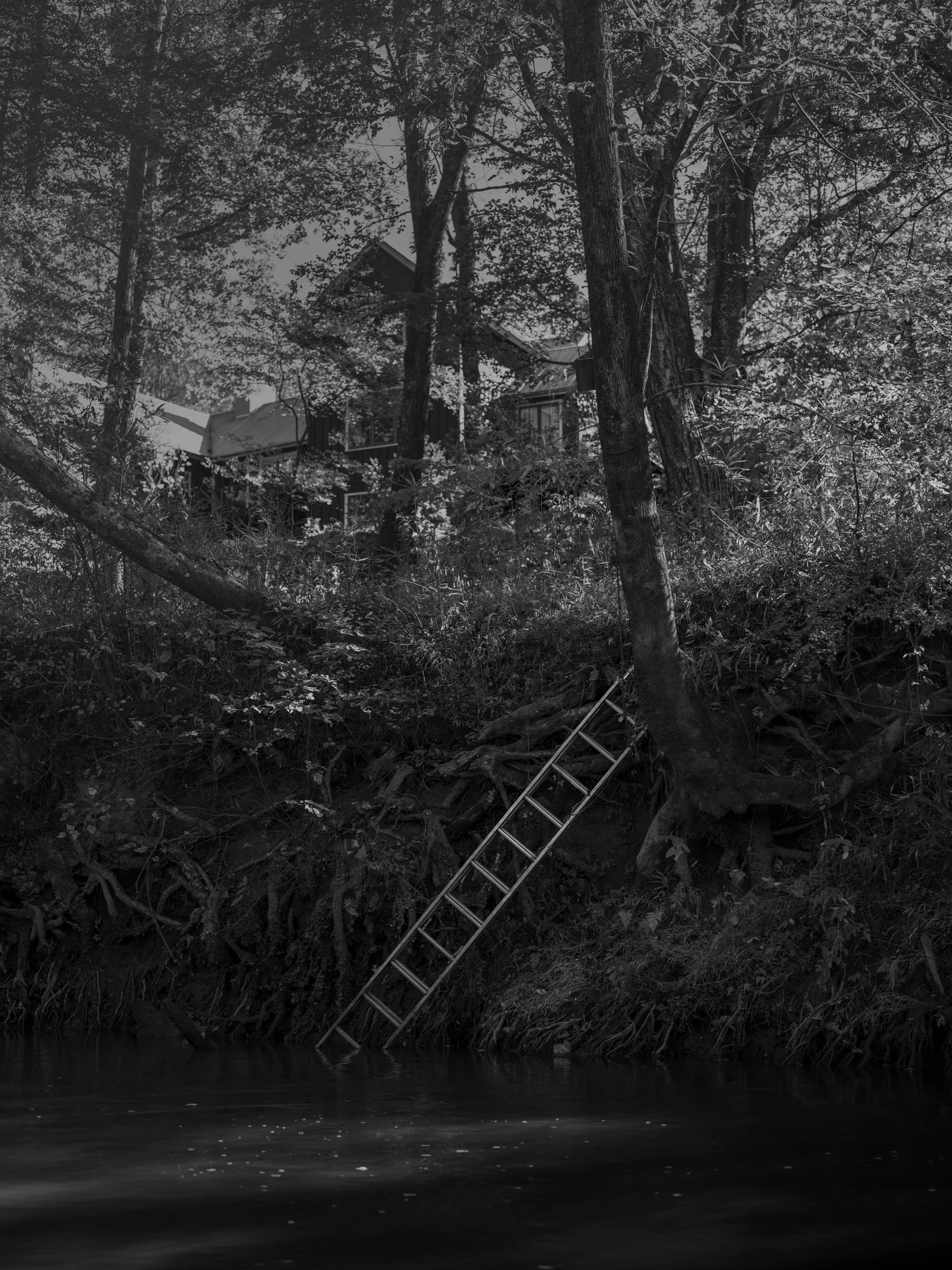 Untitled #20, Middle Oconee River, Athens, GA, 2025