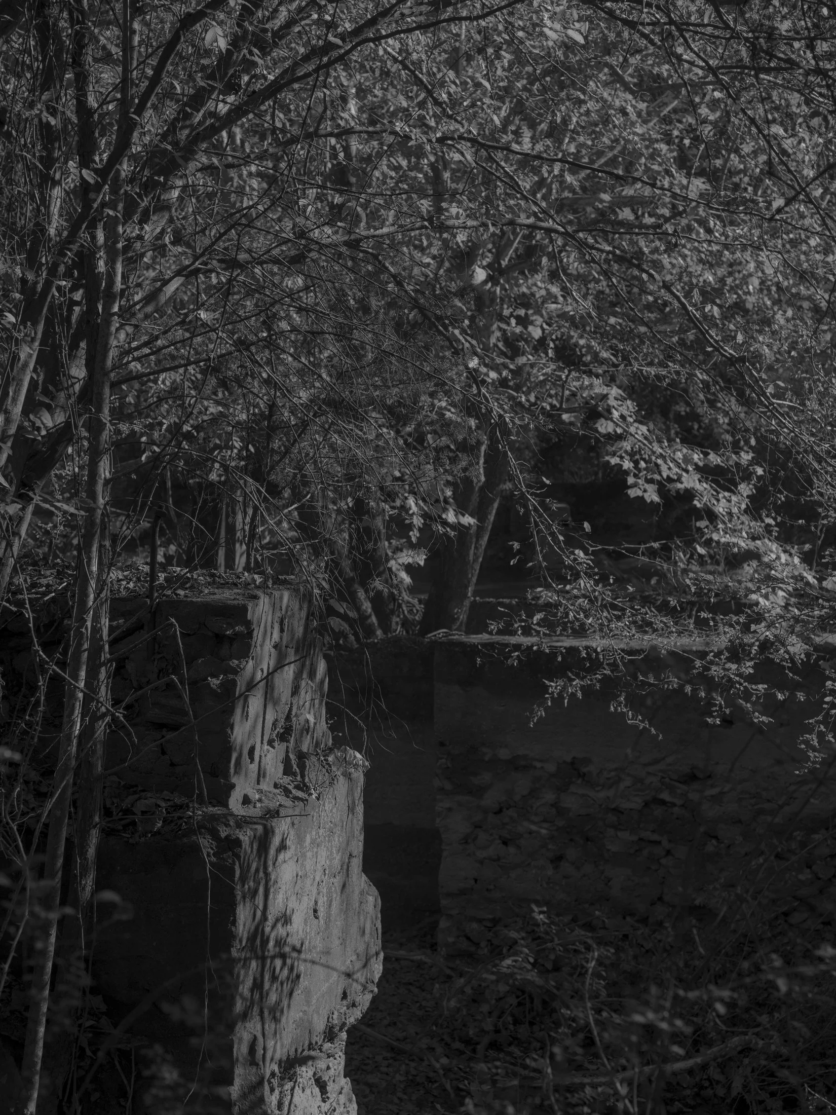 Untitled #21, Middle Oconee River, Athens, GA, 2025
