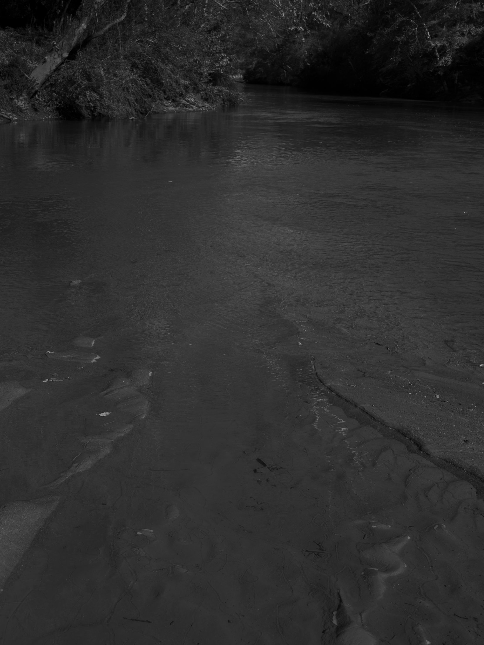 Untitled #24, Convergence of Middle Oconee River and North Oconee River, Athens, GA, 2025